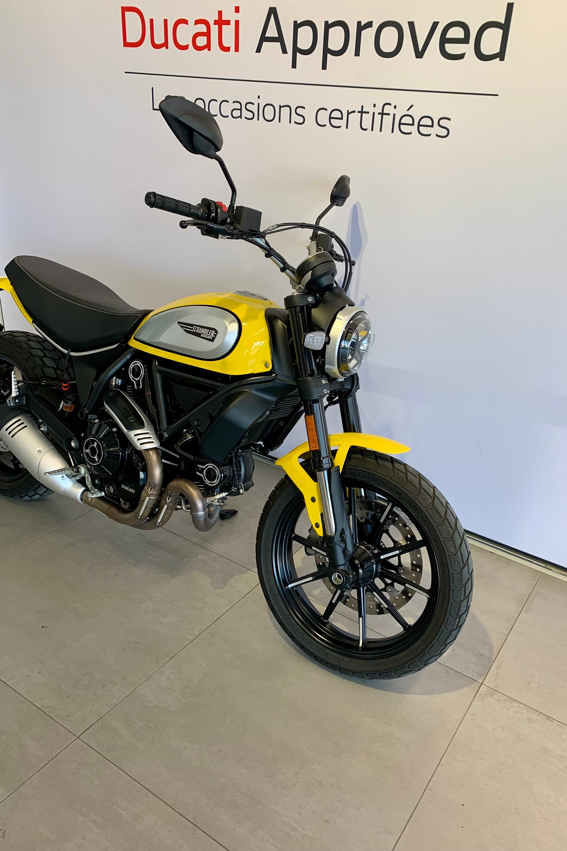DUCATI Scrambler 800 Icon-image-4