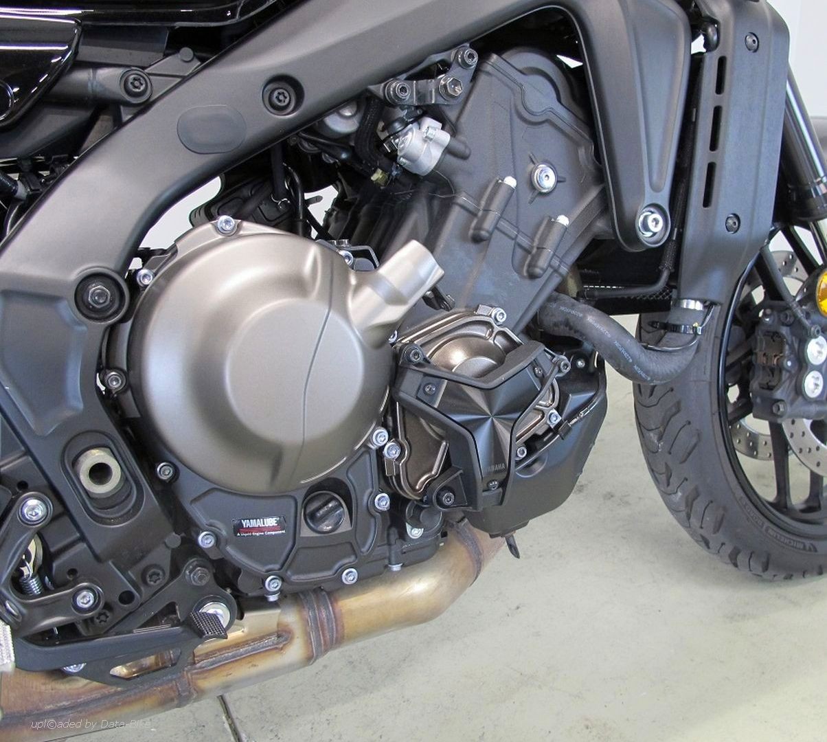 YAMAHA XSR900 35KW-image-7