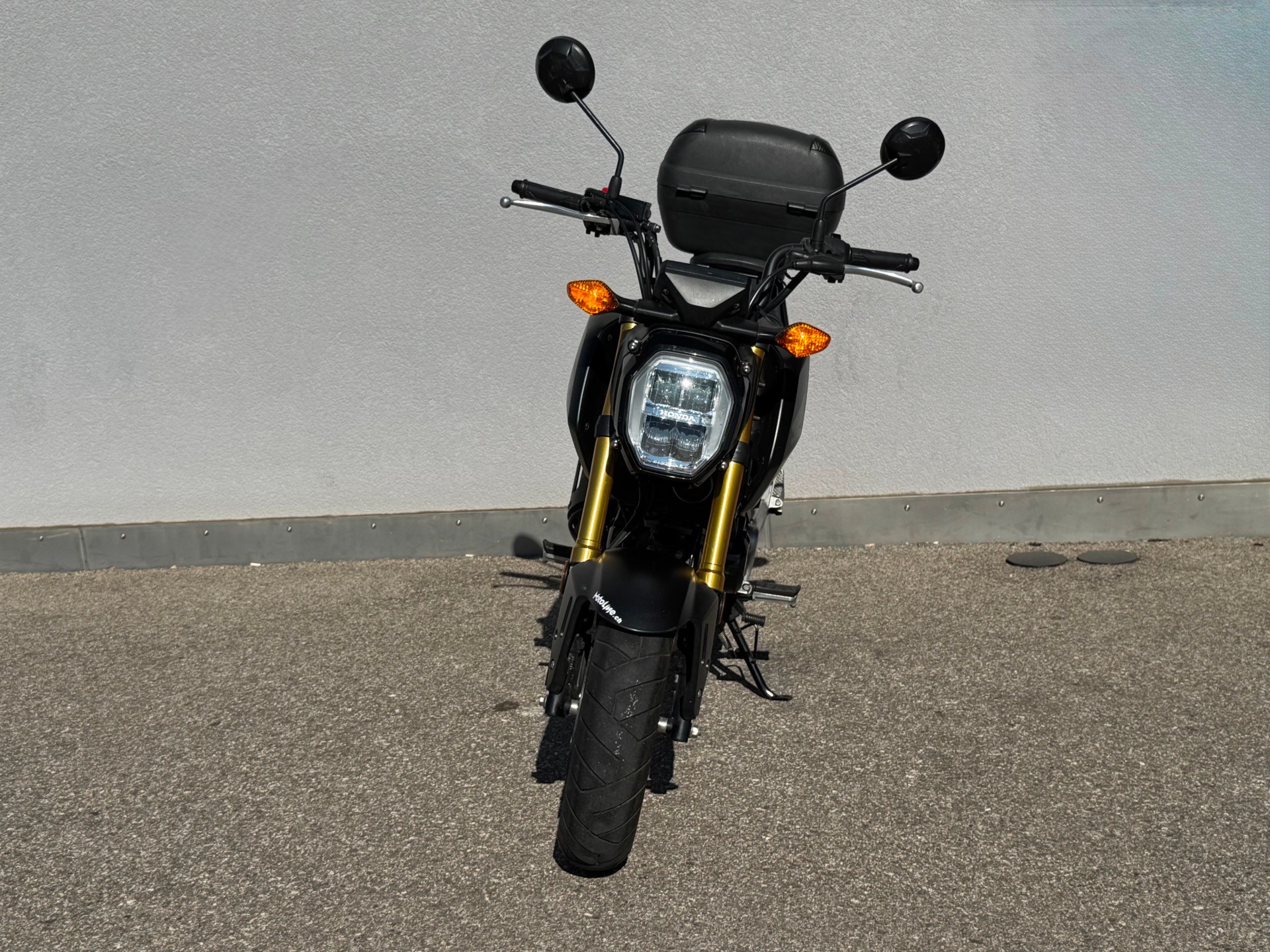 HONDA MSX 125-showroom-element-3