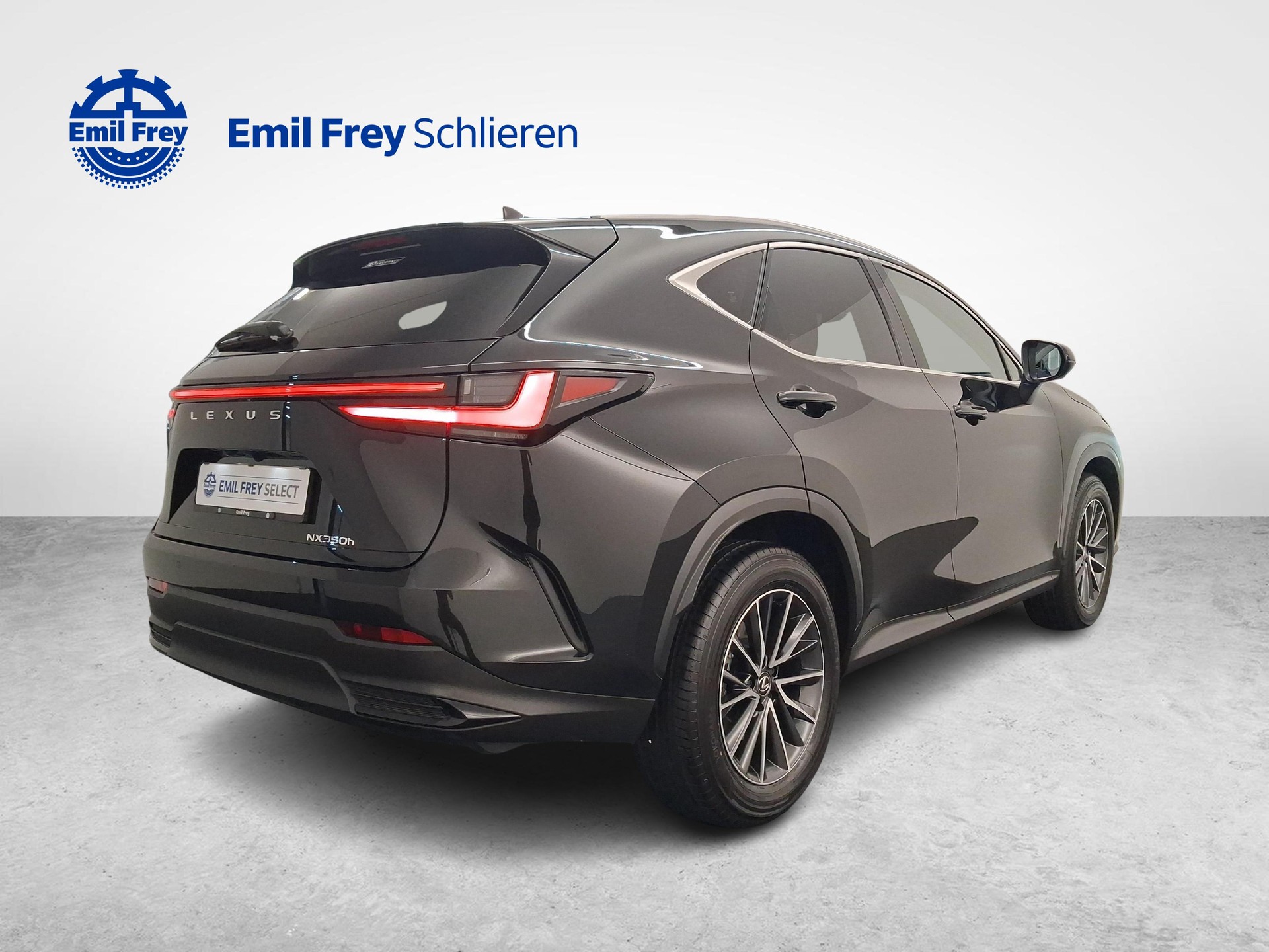 LEXUS NX 350h Comfort-showroom-element-3