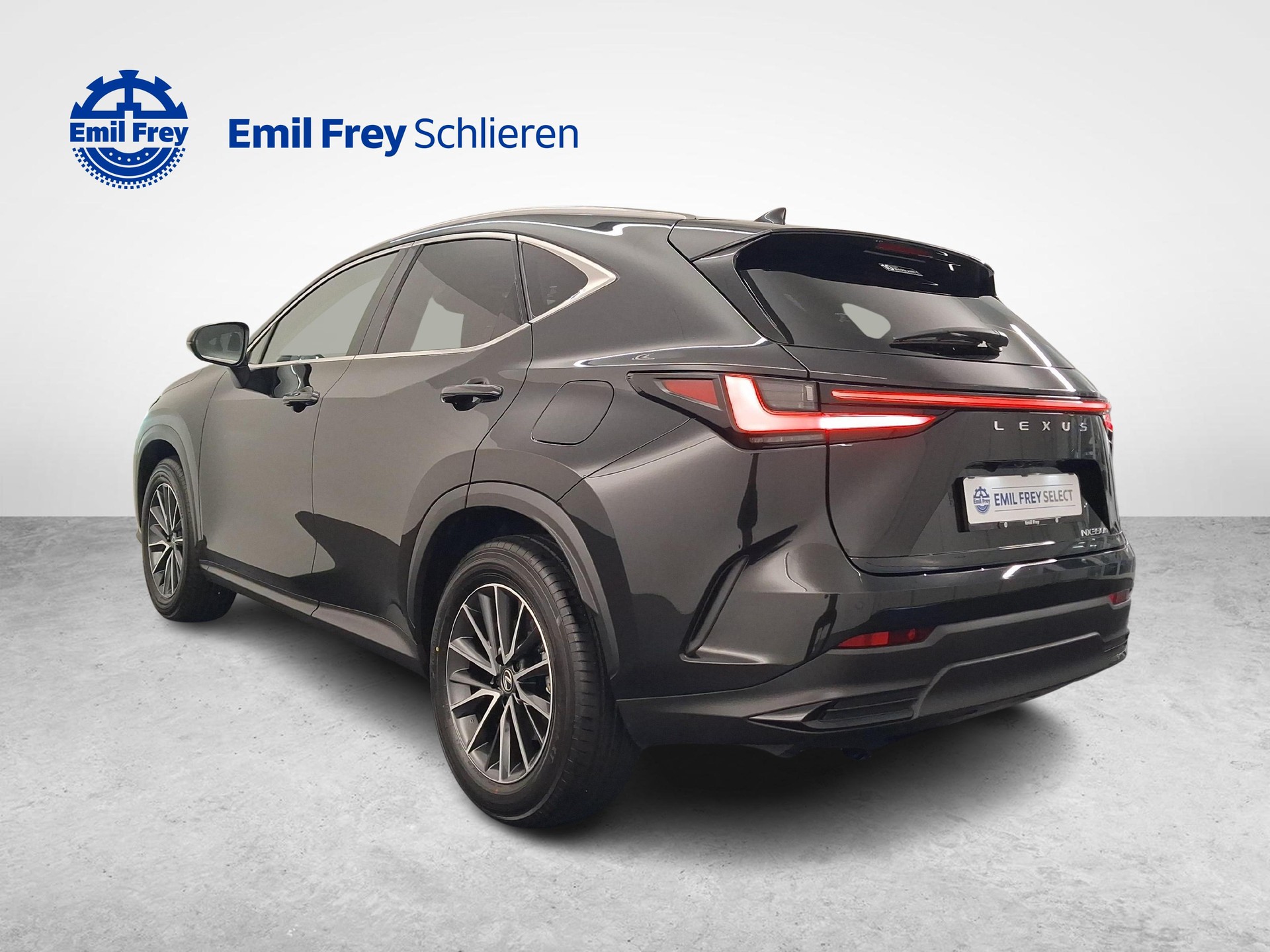 LEXUS NX 350h Comfort-showroom-element-2