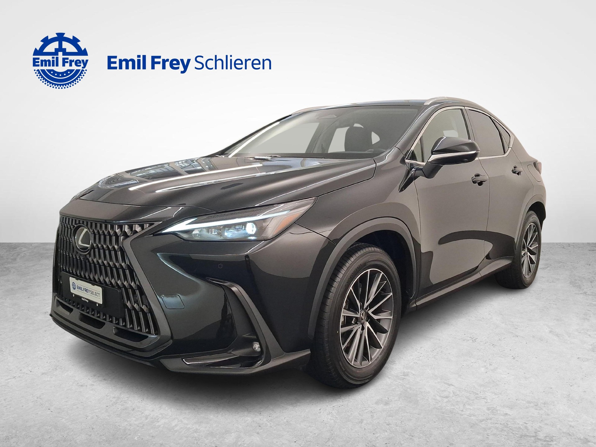 LEXUS NX 350h Comfort-showroom-element-1