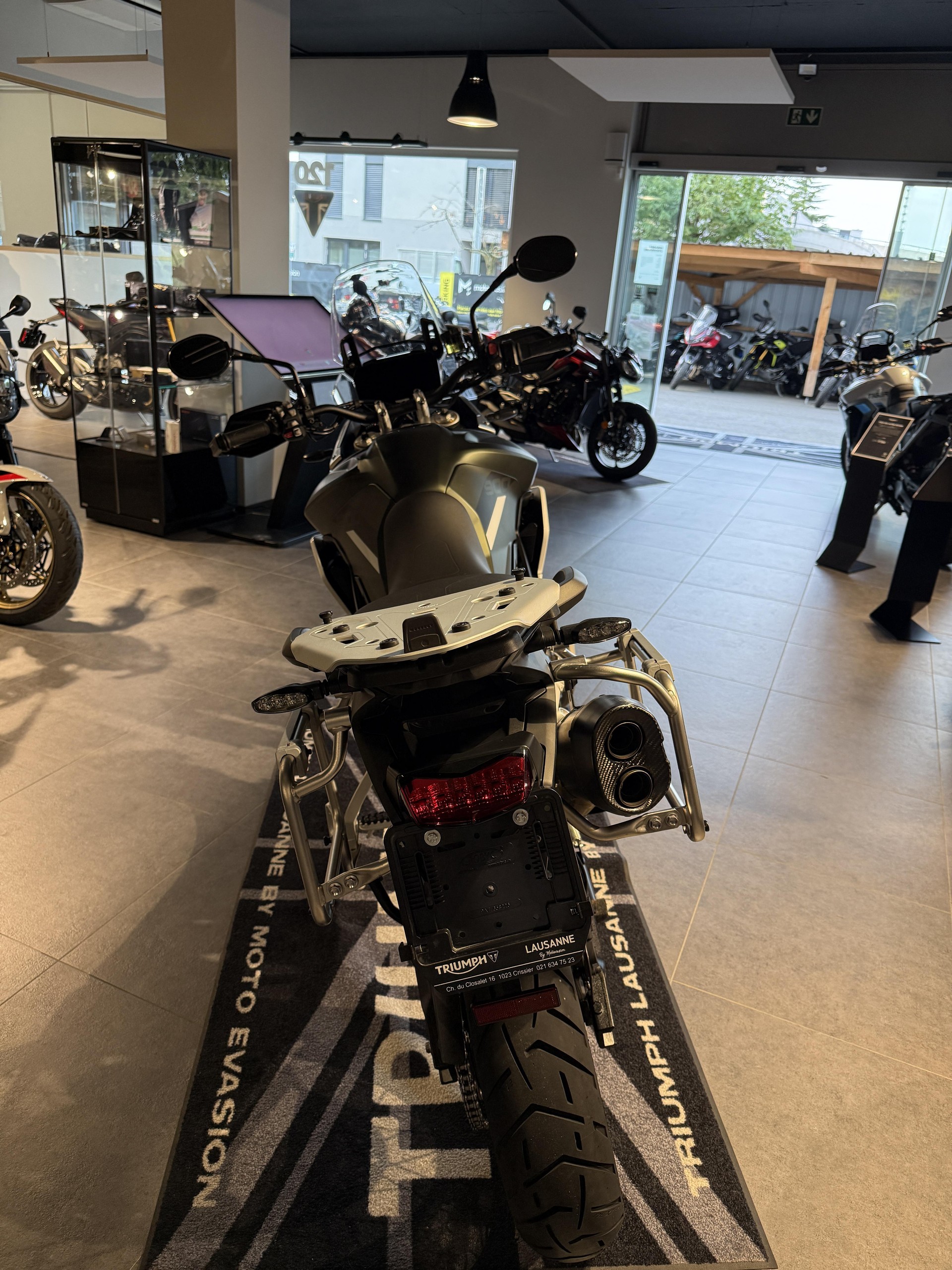 TRIUMPH Tiger 900 Rally Pro-image-3