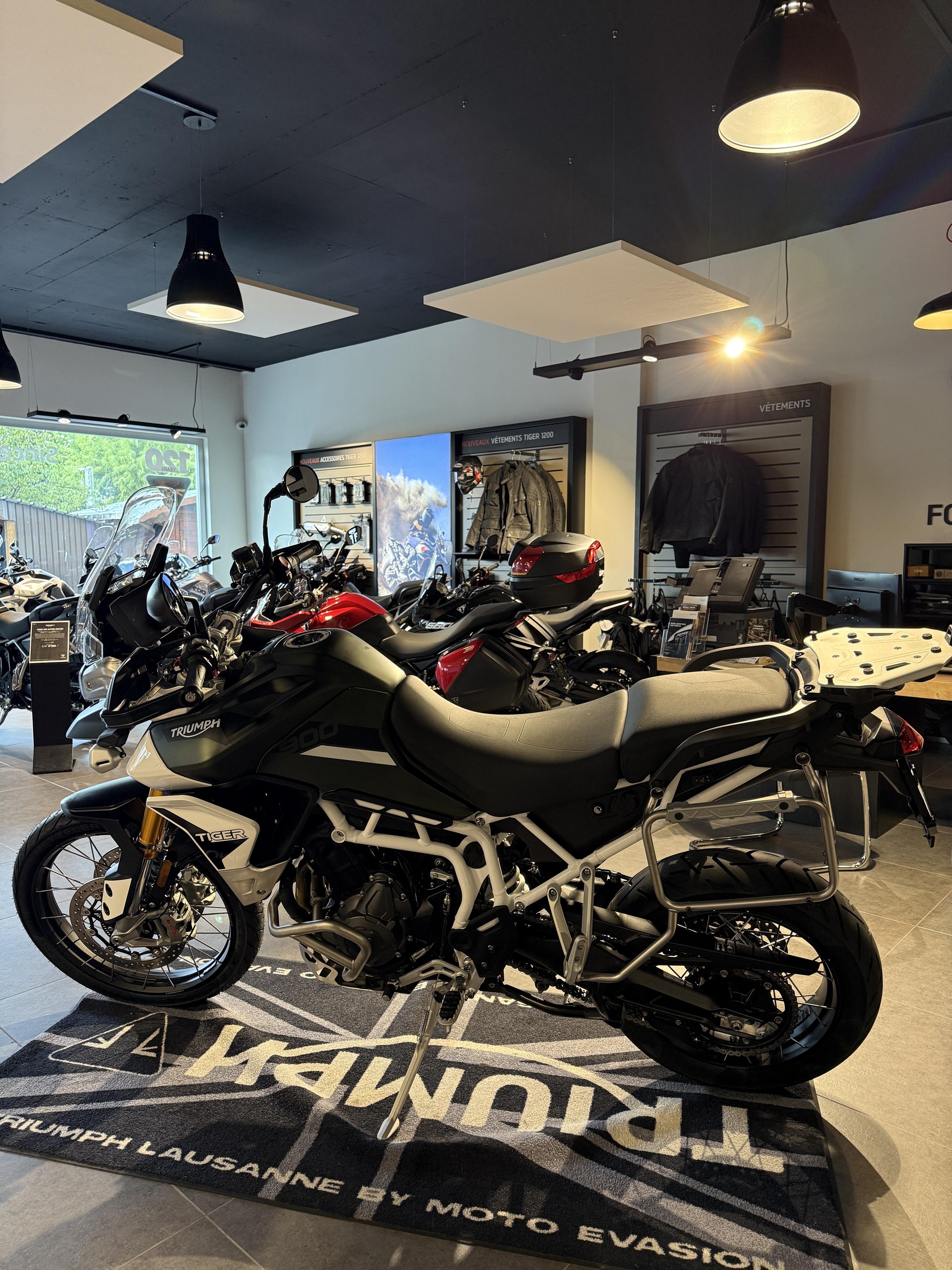 TRIUMPH Tiger 900 Rally Pro-image-1