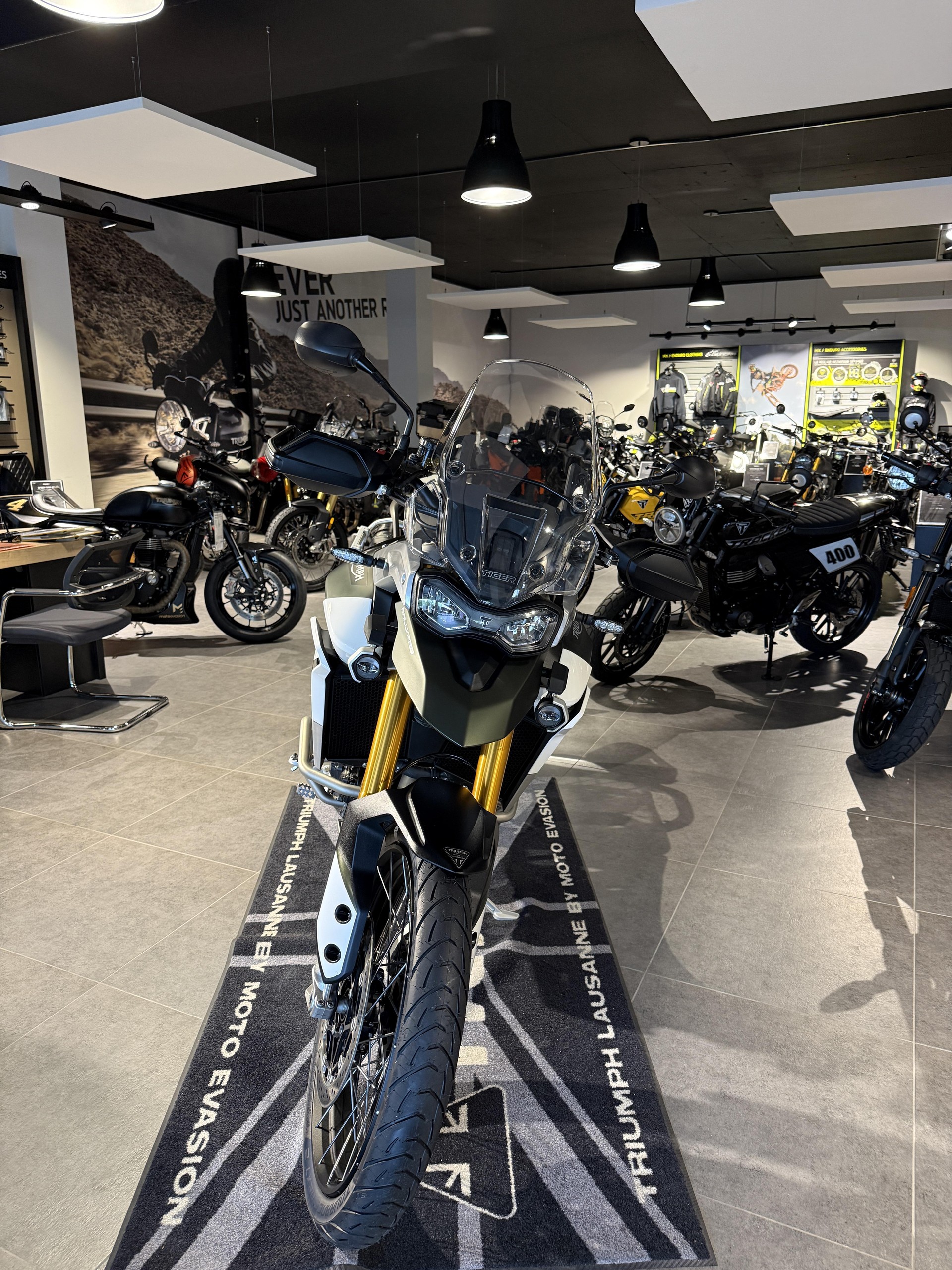 TRIUMPH Tiger 900 Rally Pro-image-2