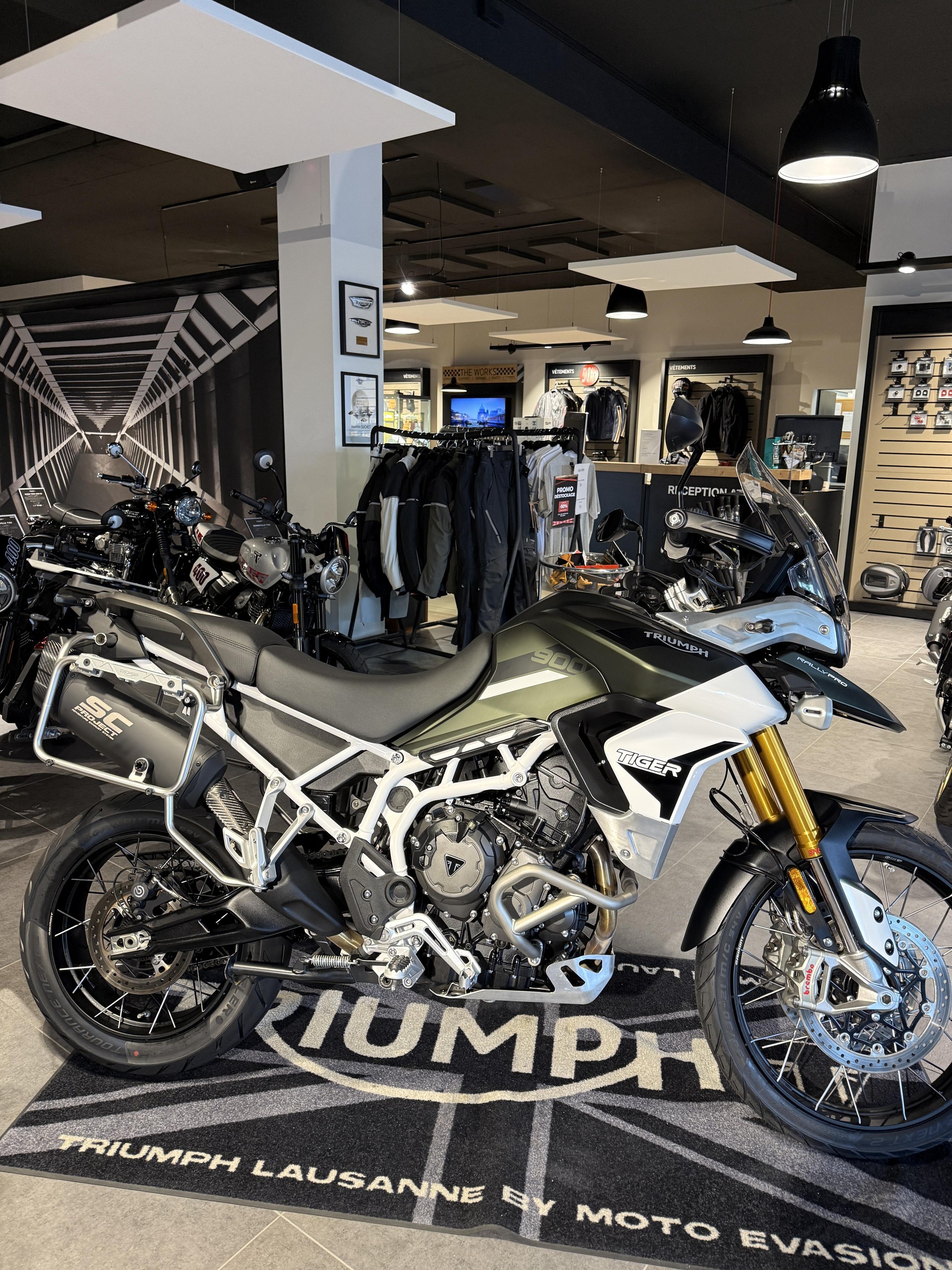 TRIUMPH Tiger 900 Rally Pro-image-0