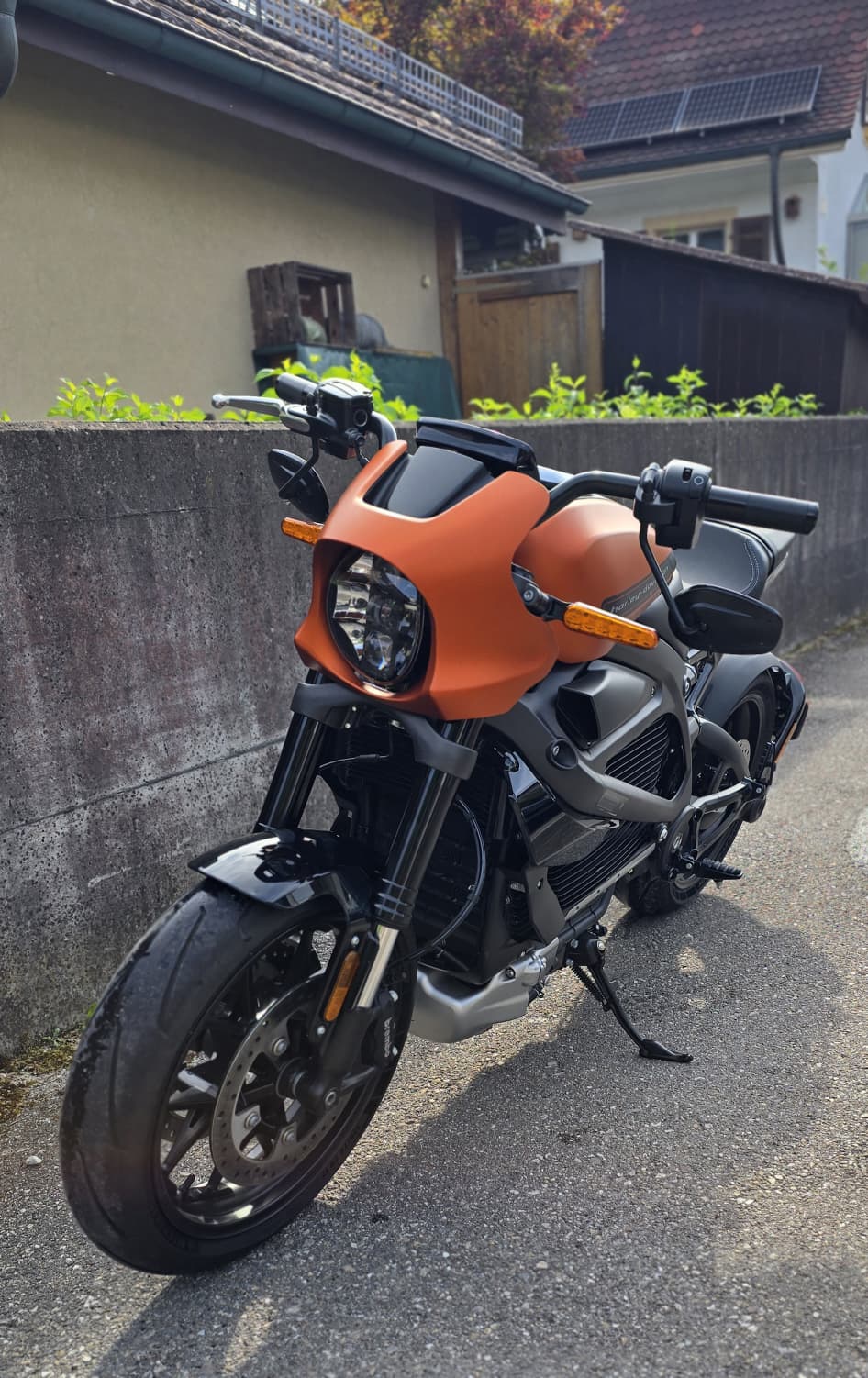 HARLEY-DAVIDSON Live Wire-image-2