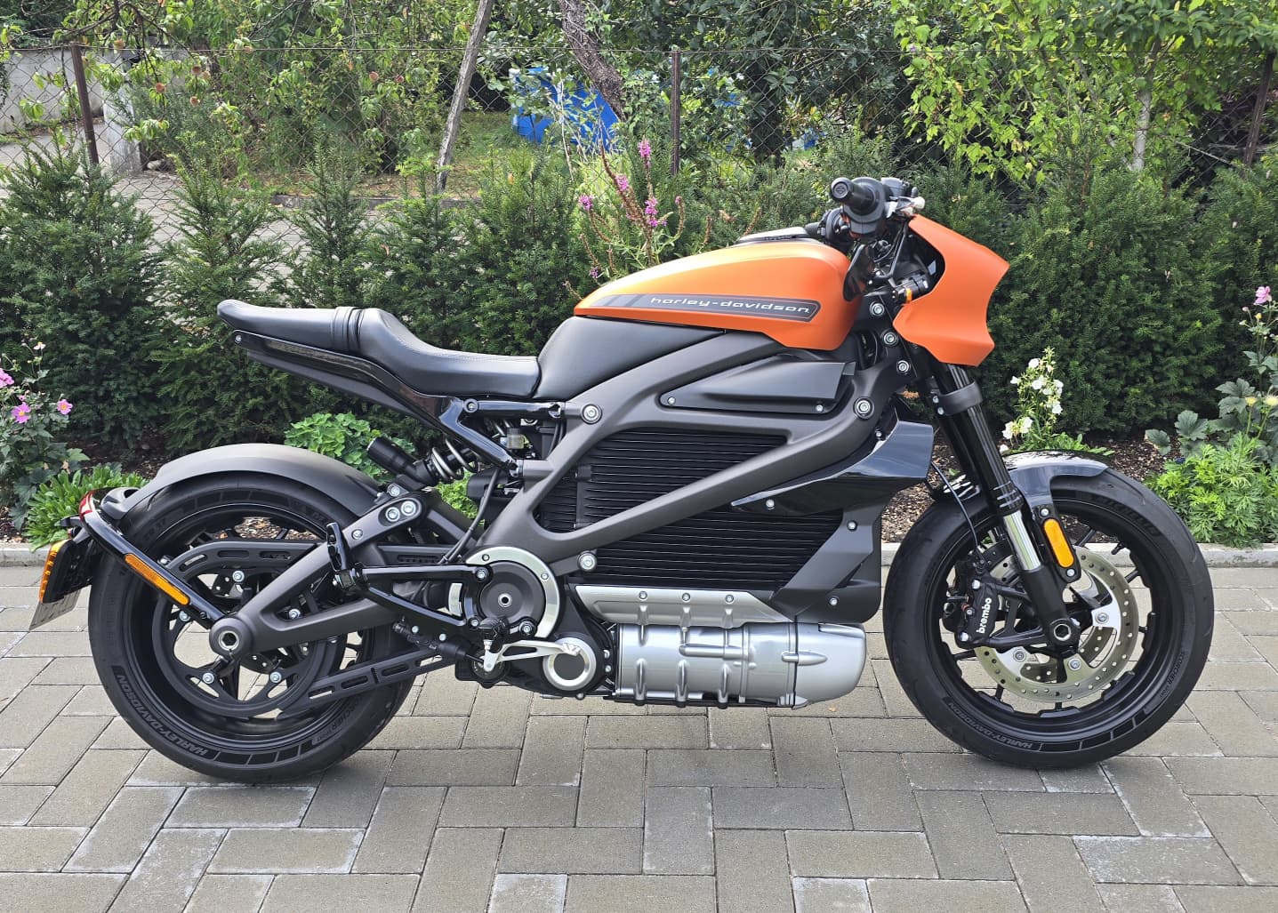 HARLEY-DAVIDSON Live Wire-image-3