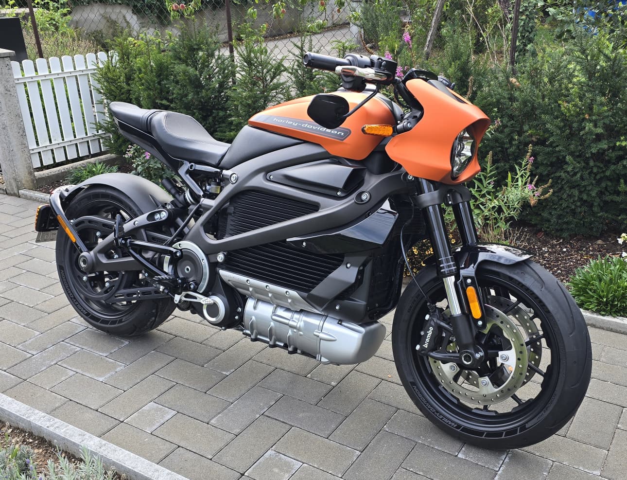 HARLEY-DAVIDSON Live Wire-image-0
