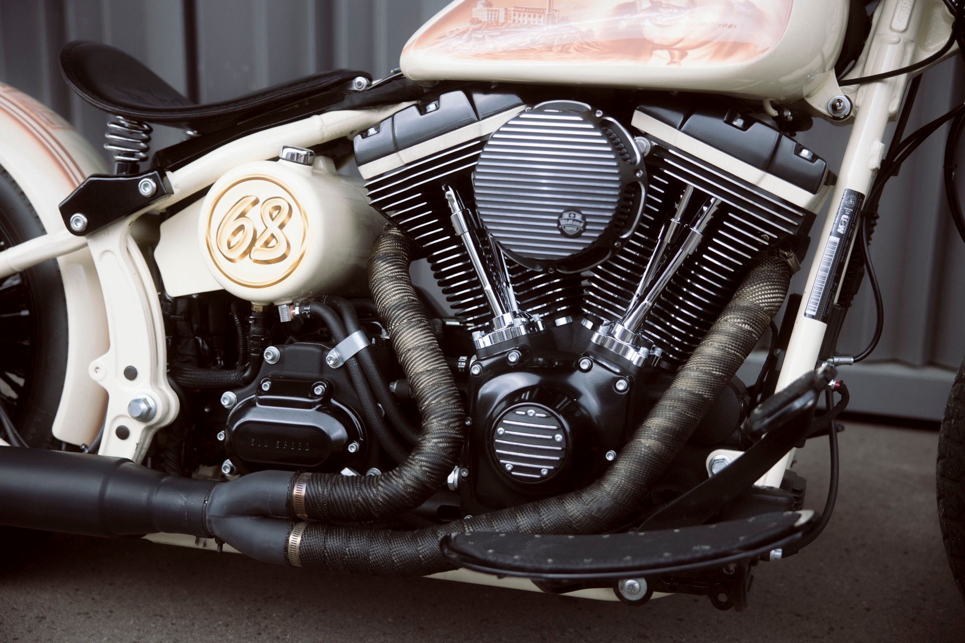 HARLEY-DAVIDSON FLS Softail Slim ABS-image-2