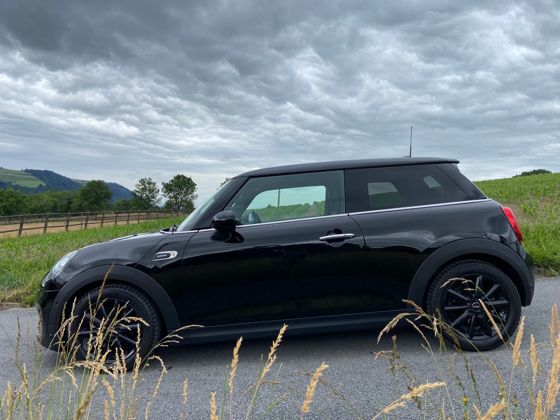 MINI Cooper Steptronic DKG