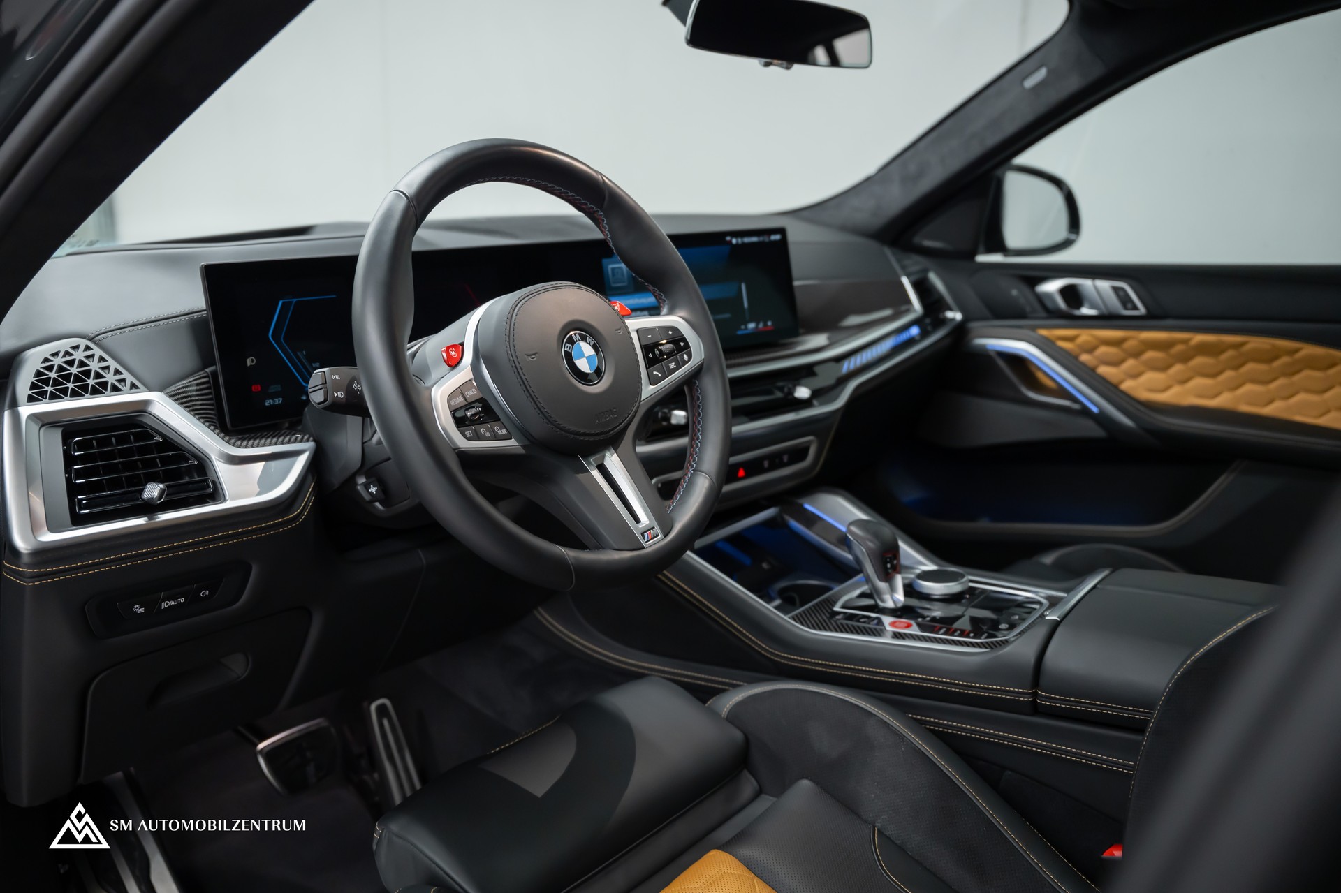 BMW X6 M Competition / Panorama / 360° / Carbon Fibre-image-11