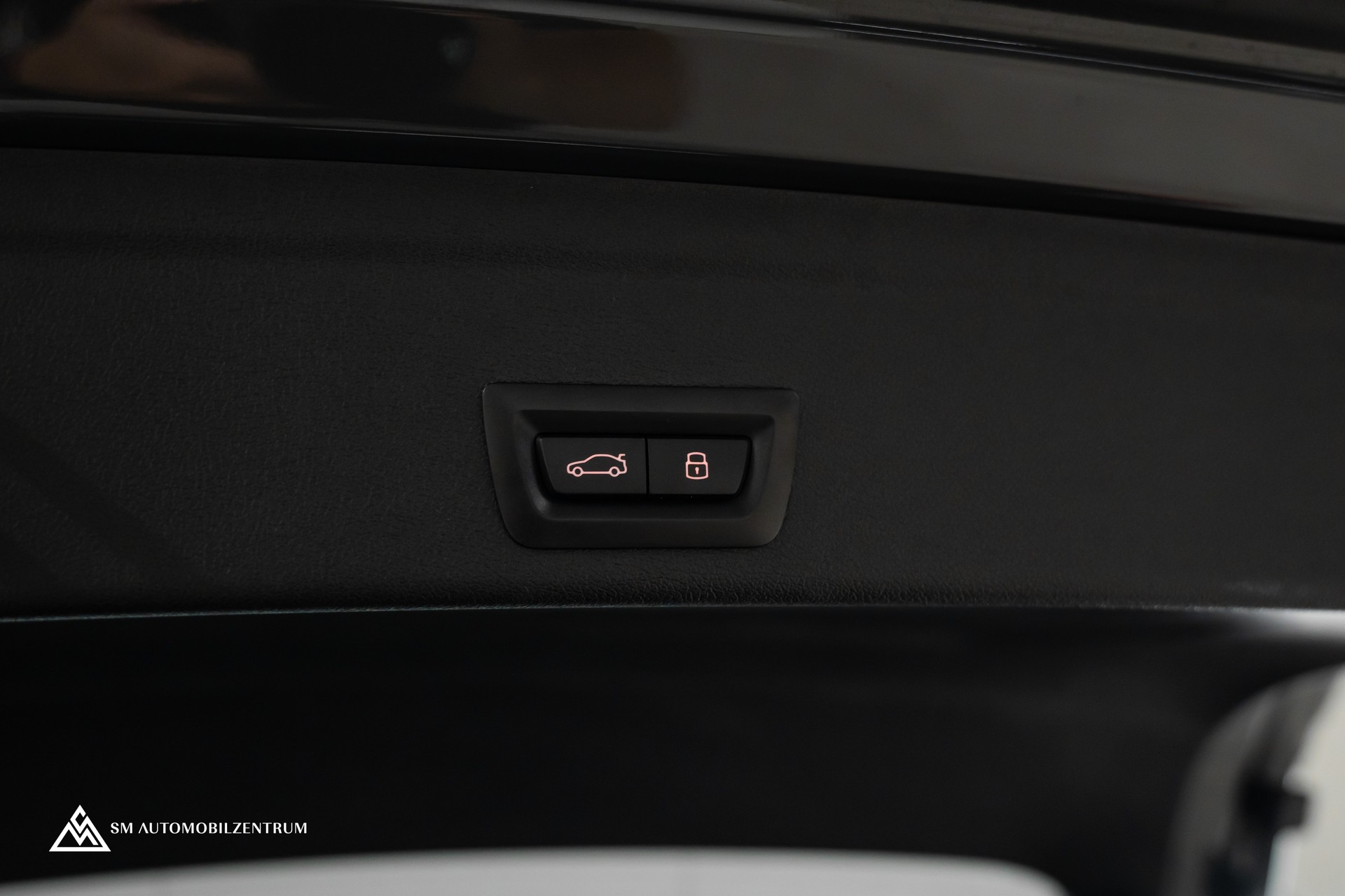 BMW X6 M Competition / Panorama / 360° / Carbon Fibre-image-36