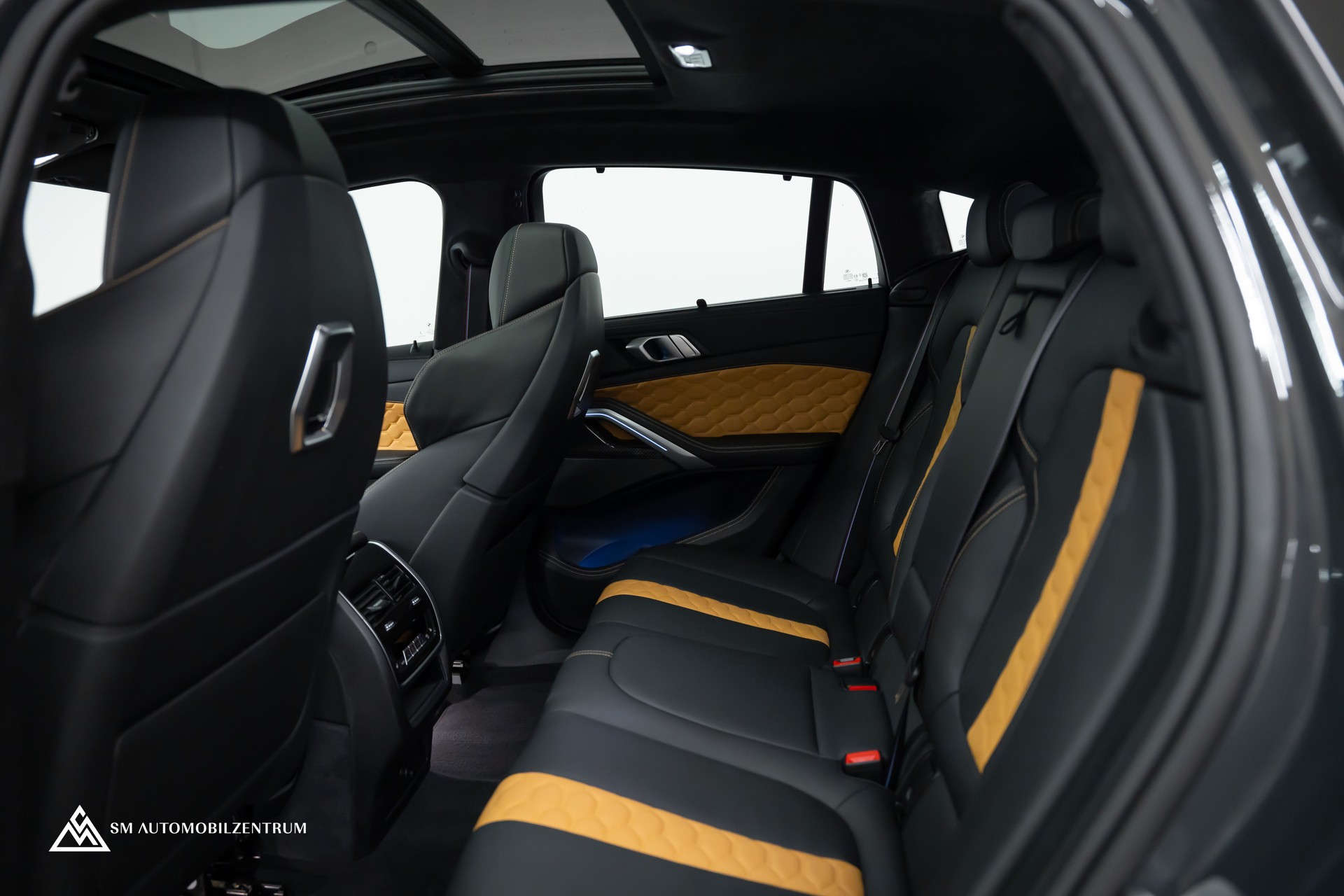BMW X6 M Competition / Panorama / 360° / Carbon Fibre-image-22