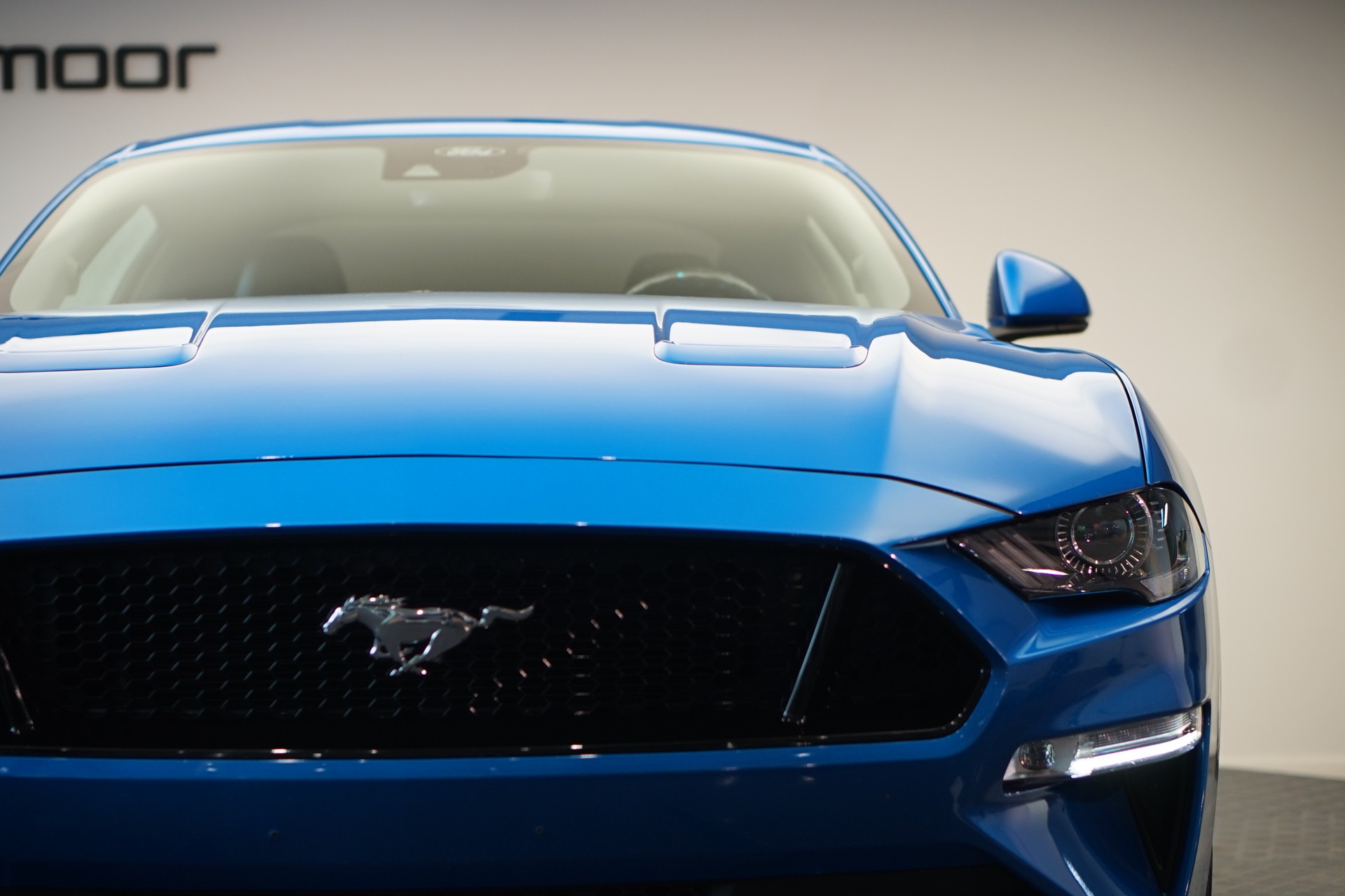 FORD Mustang Fastback 5.0 V8 GT 55 Automat *Shelby Heckspoiler*-image-28