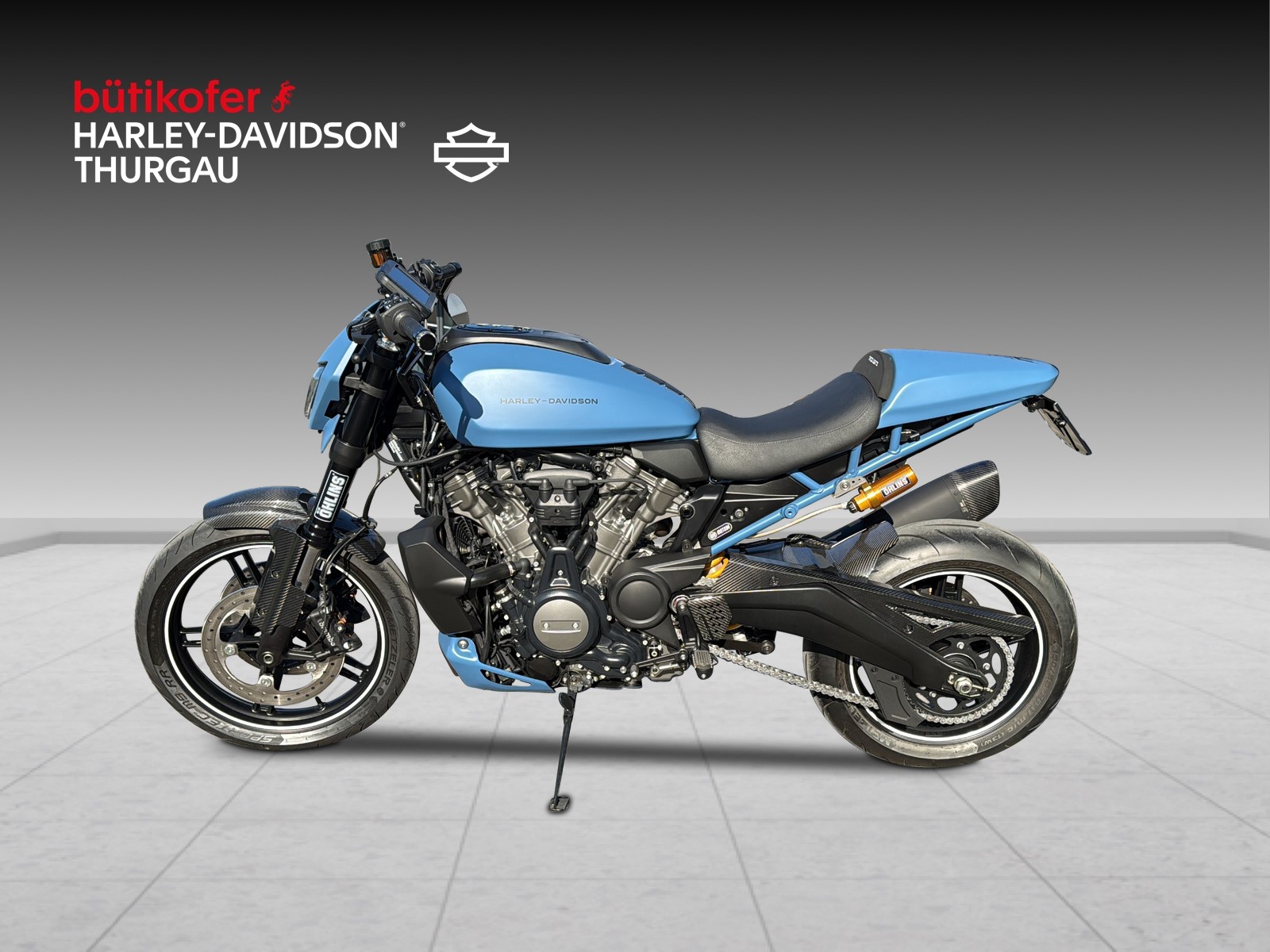 HARLEY-DAVIDSON RA Pan America 1250-image-10
