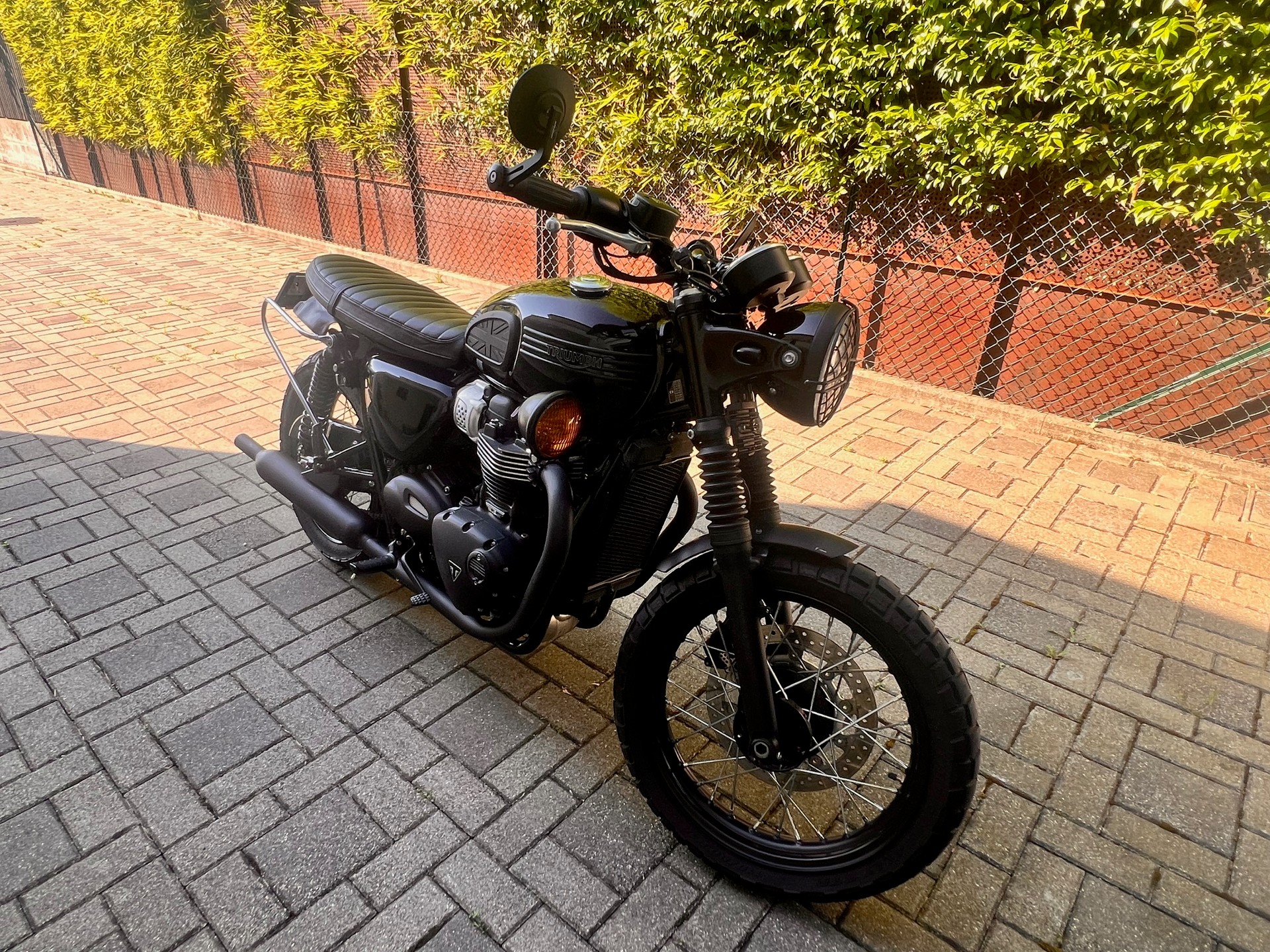 TRIUMPH Bonneville 900 T 100 Black ABS / Special-image-5