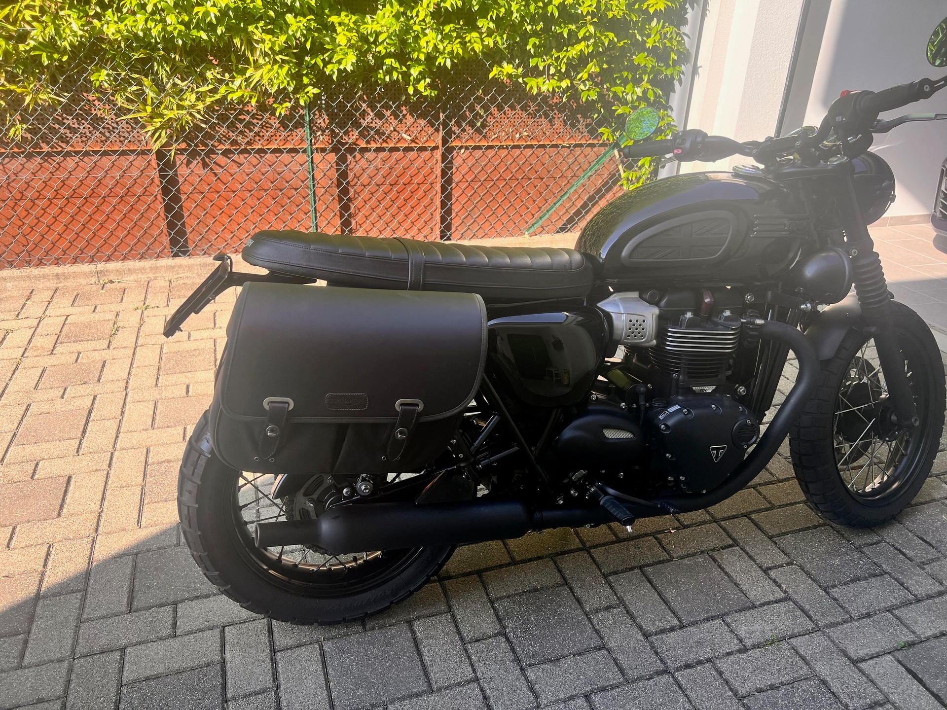 TRIUMPH Bonneville 900 T 100 Black ABS / Special-image-8