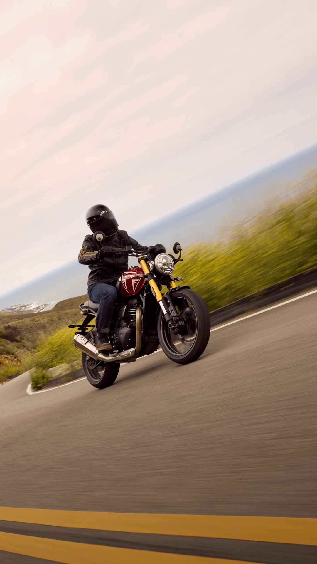 TRIUMPH Speed 400-image-3