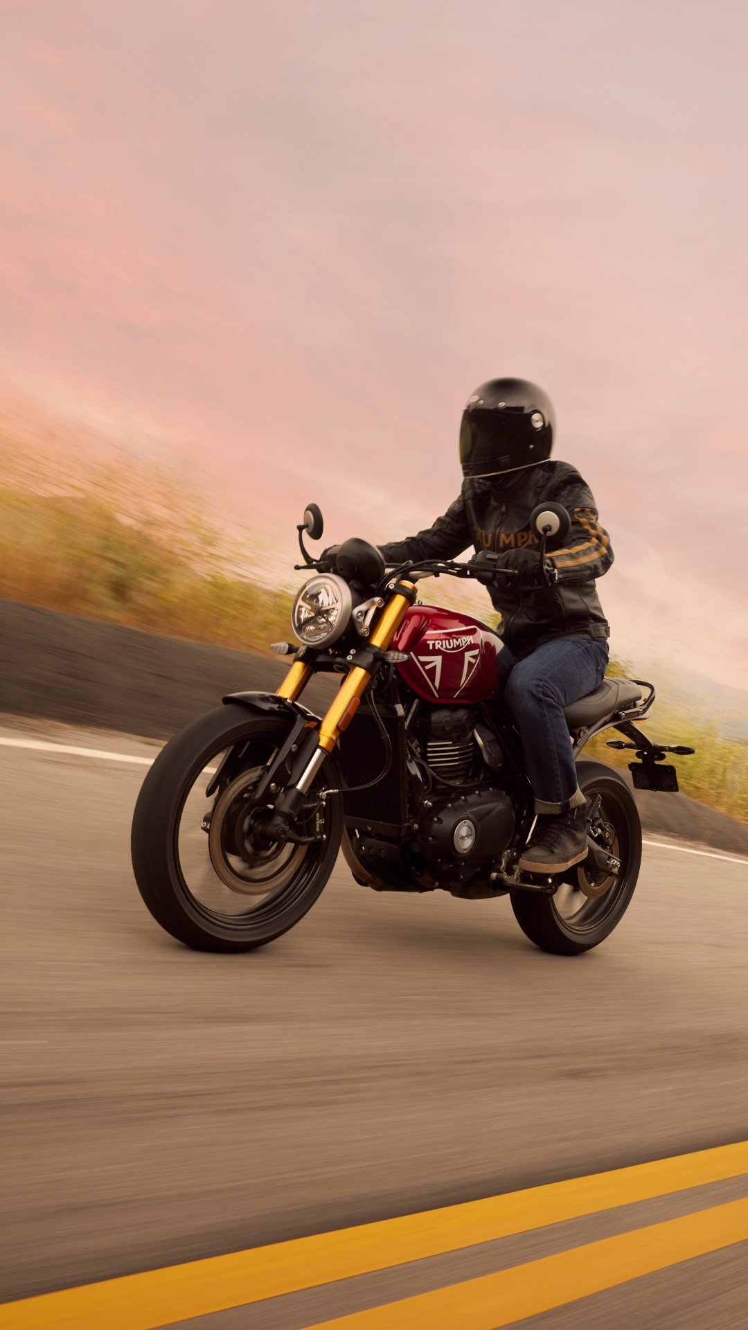 TRIUMPH Speed 400-image-2