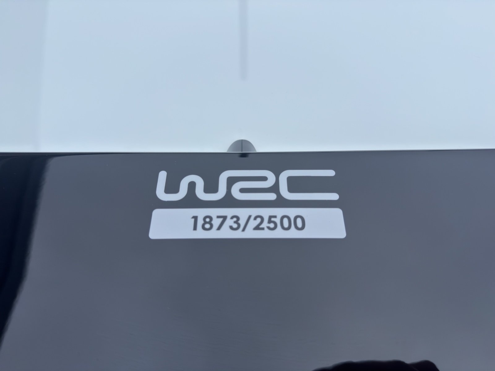 VW Polo 2.0 TSI R WRC-image-21