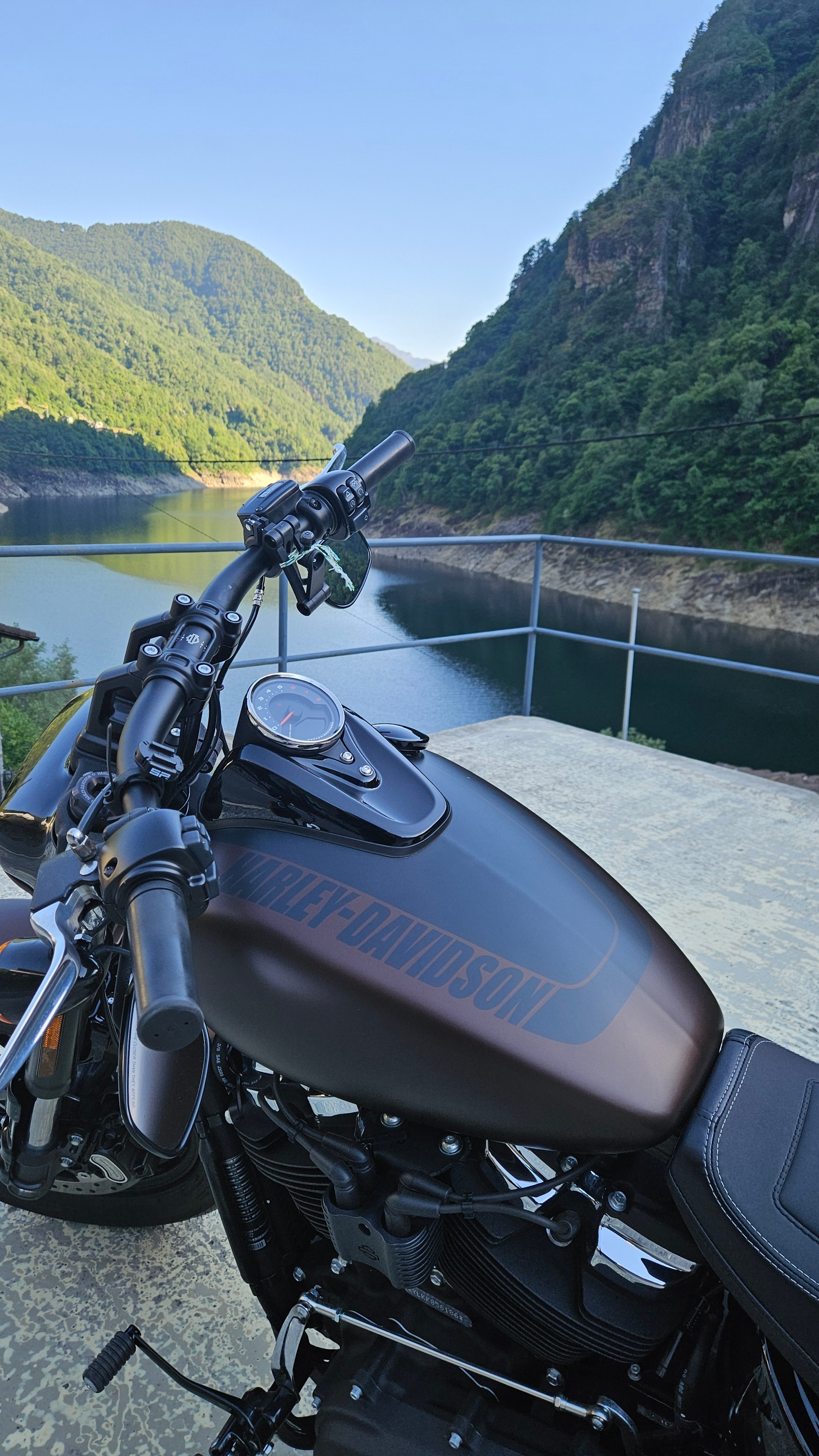 HARLEY-DAVIDSON FXFBS Fat Bob 114 ABS-image-2