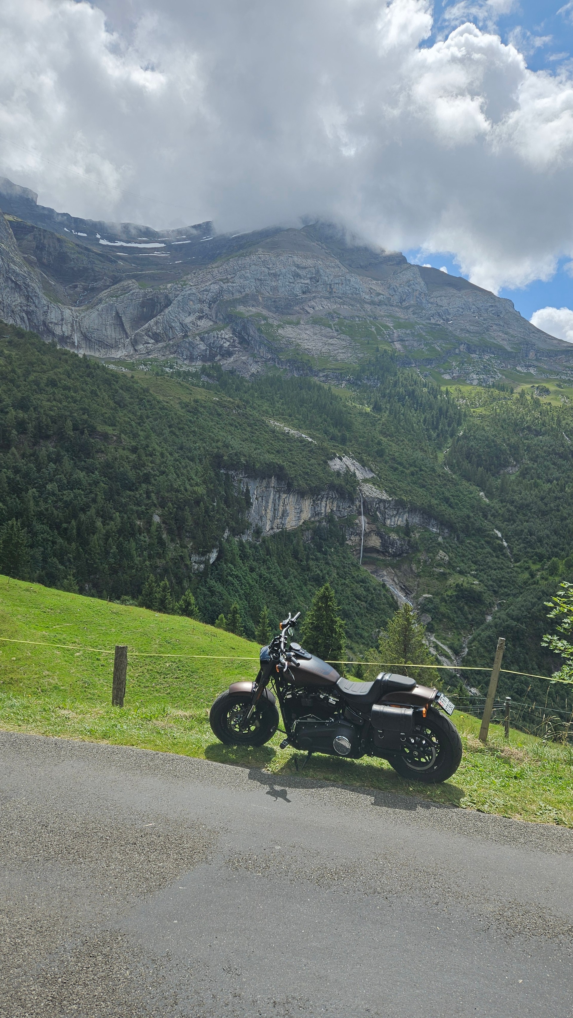 HARLEY-DAVIDSON FXFBS Fat Bob 114 ABS-image-7