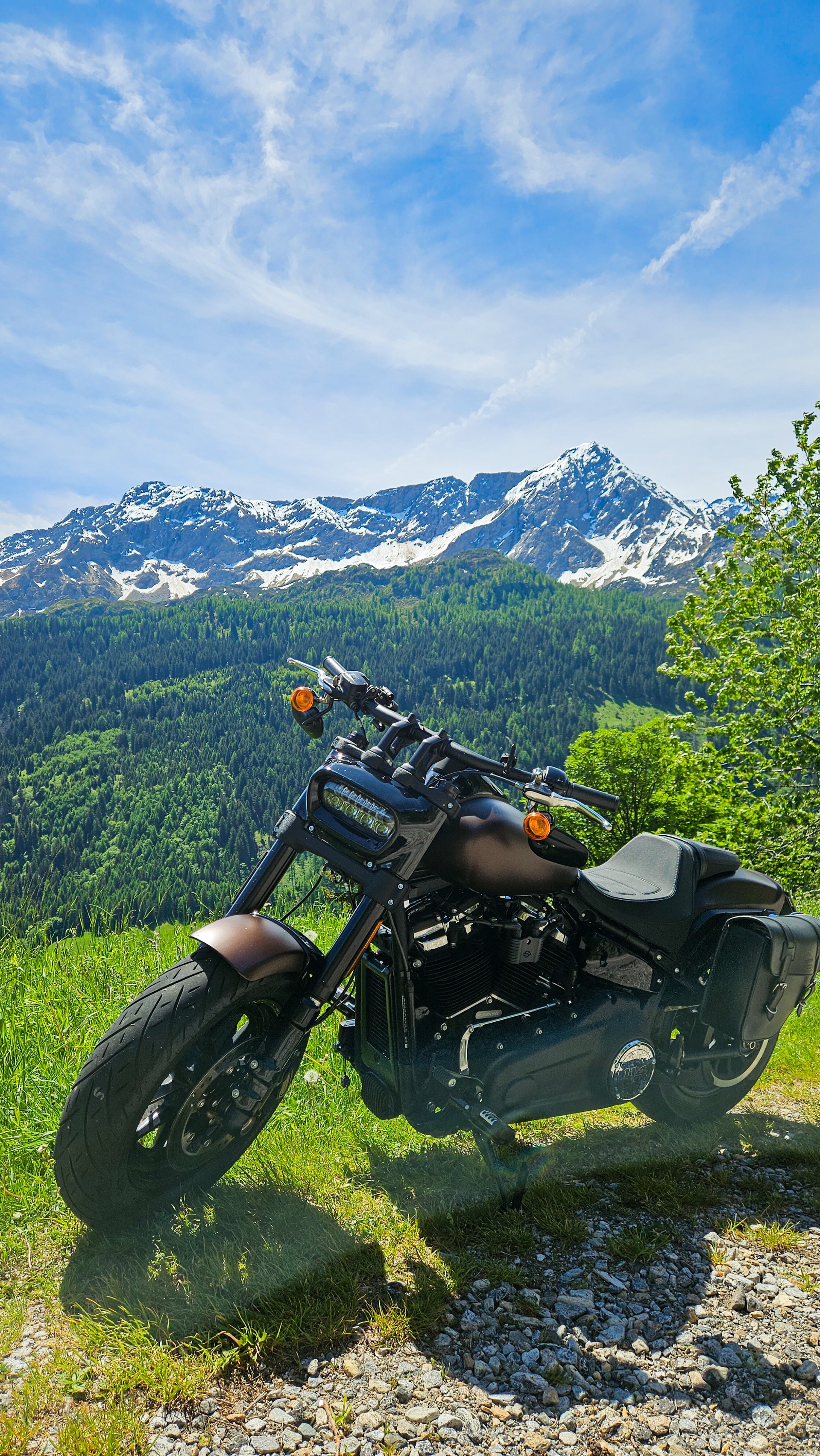 HARLEY-DAVIDSON FXFBS Fat Bob 114 ABS-image-4