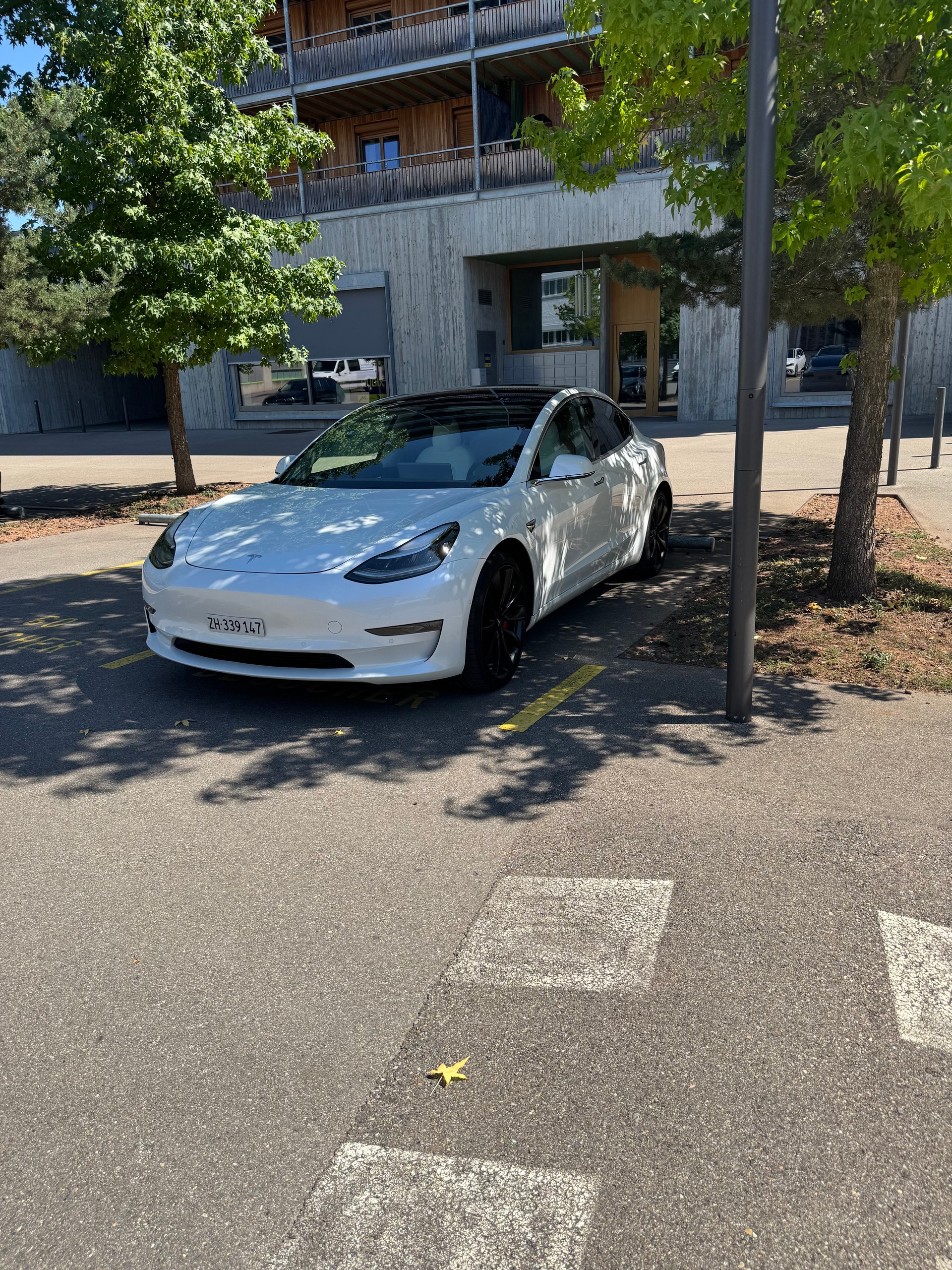 TESLA TESLA Model 3 Performance Dual Motor AWD