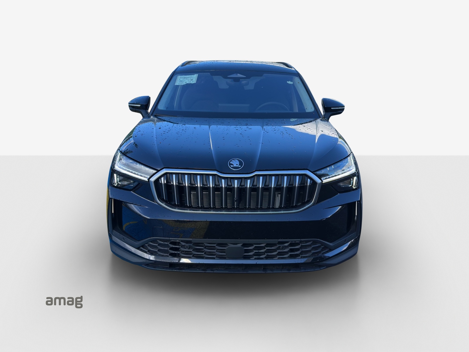 SKODA Kodiaq 2.0 TSI Dynamic 4x4-image-6