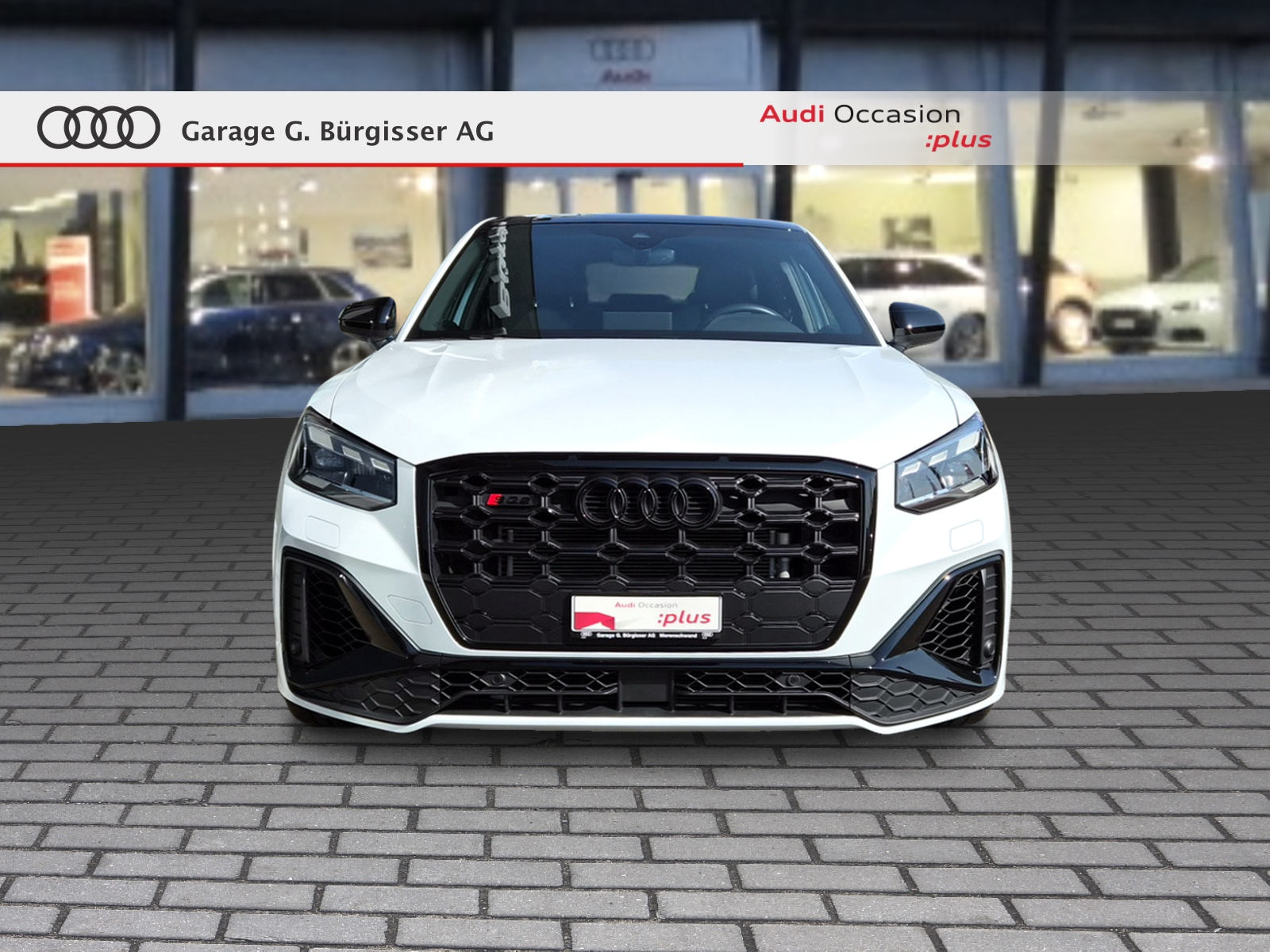 AUDI SQ2 TFSI quattro S-tronic Gletscherweiss Metallic-showroom-element-1