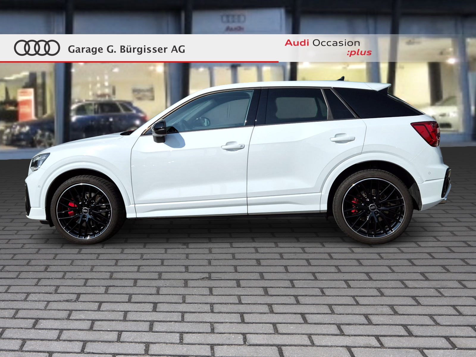AUDI SQ2 TFSI quattro S-tronic Gletscherweiss Metallic-showroom-element-2