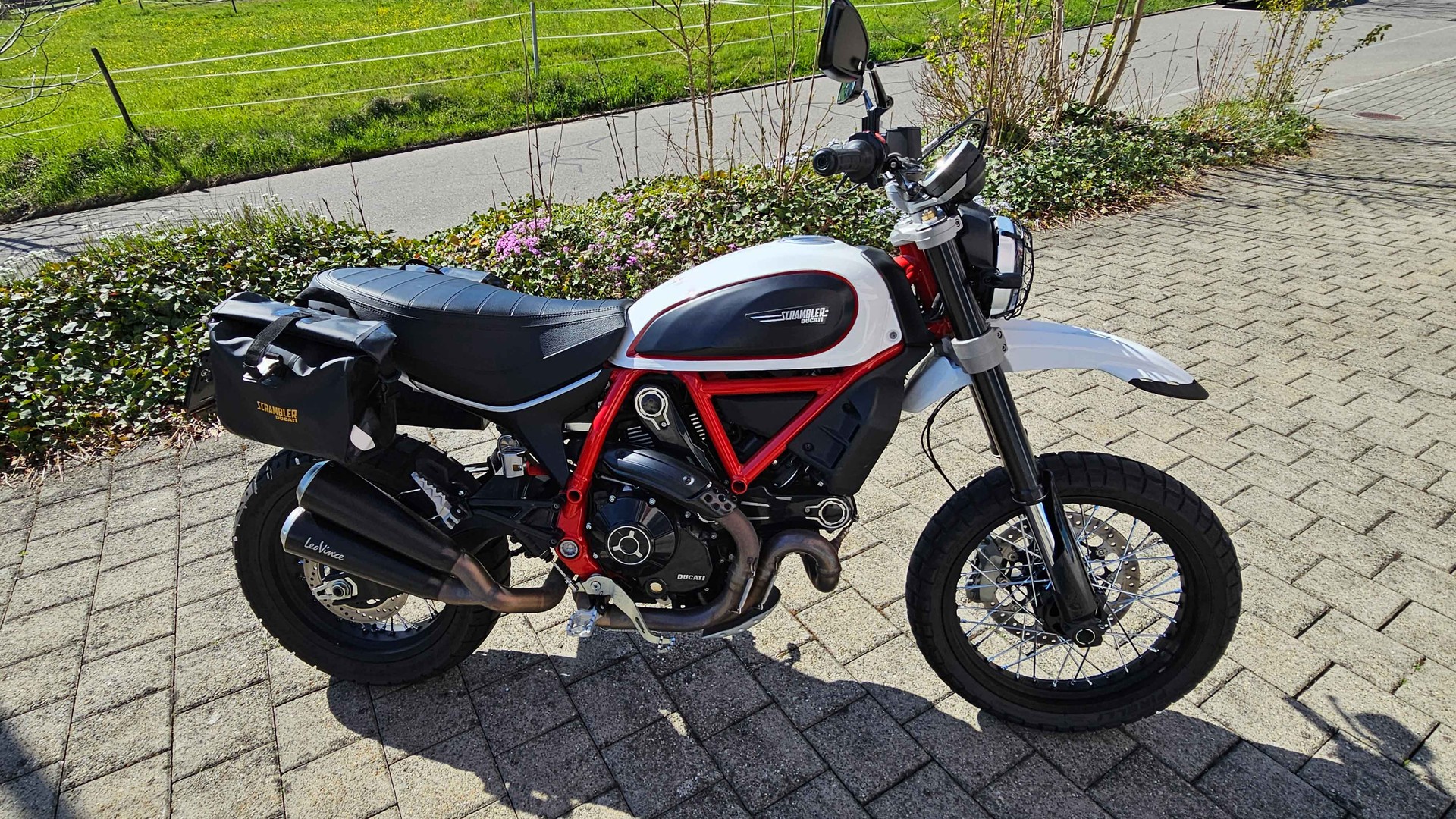 DUCATI Scrambler 800 Desert Sled-image-0