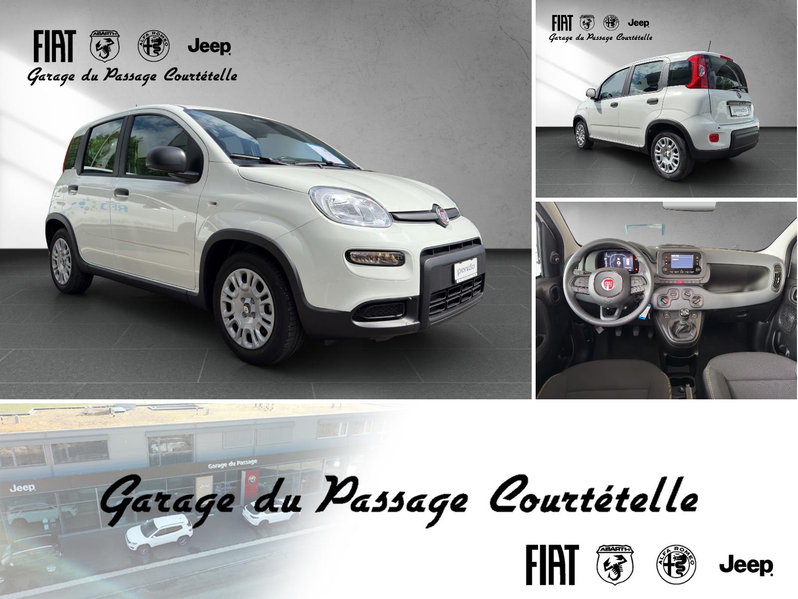 FIAT PANDINA