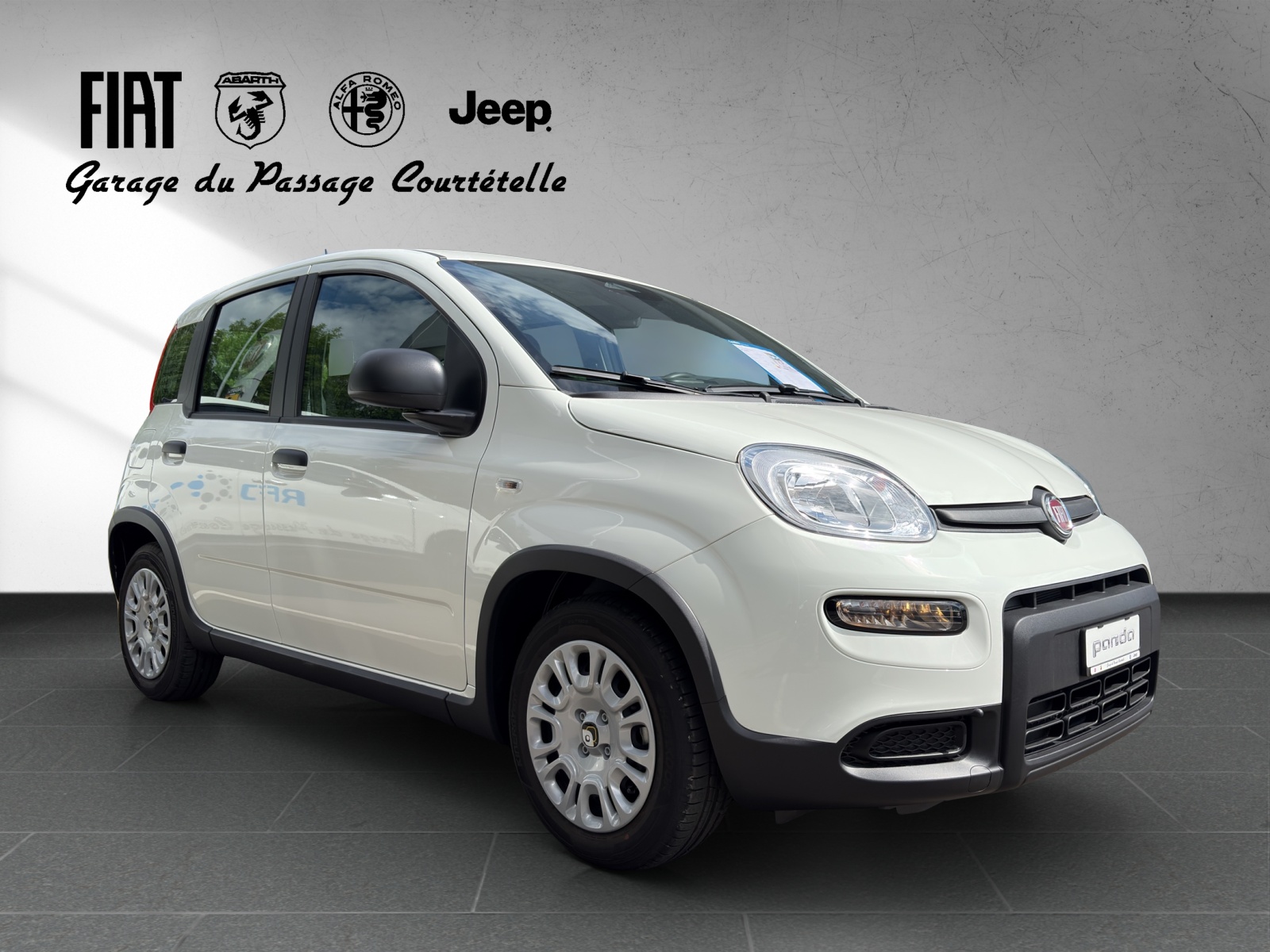 FIAT PANDINA-image-2