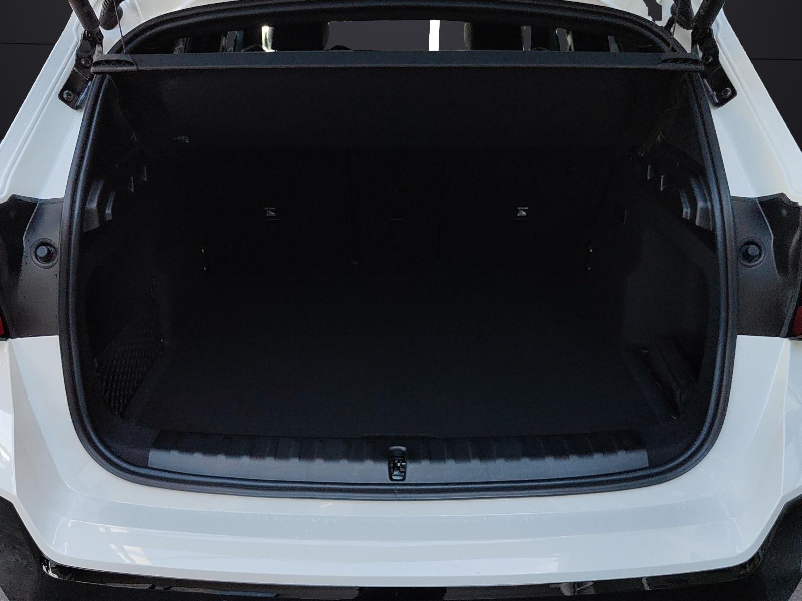 BMW iX1 30 xDrive-image-16