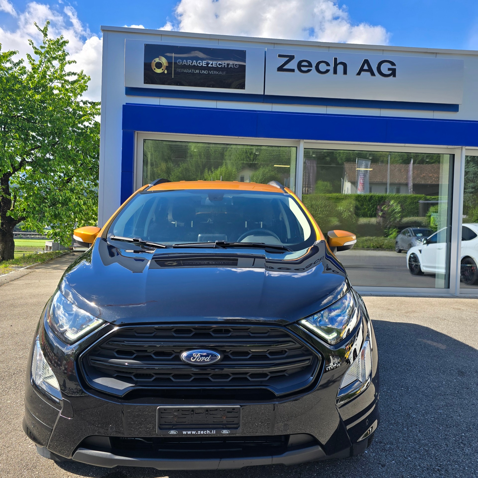FORD EcoSport 1.0 SCTi ST-Line-image-6