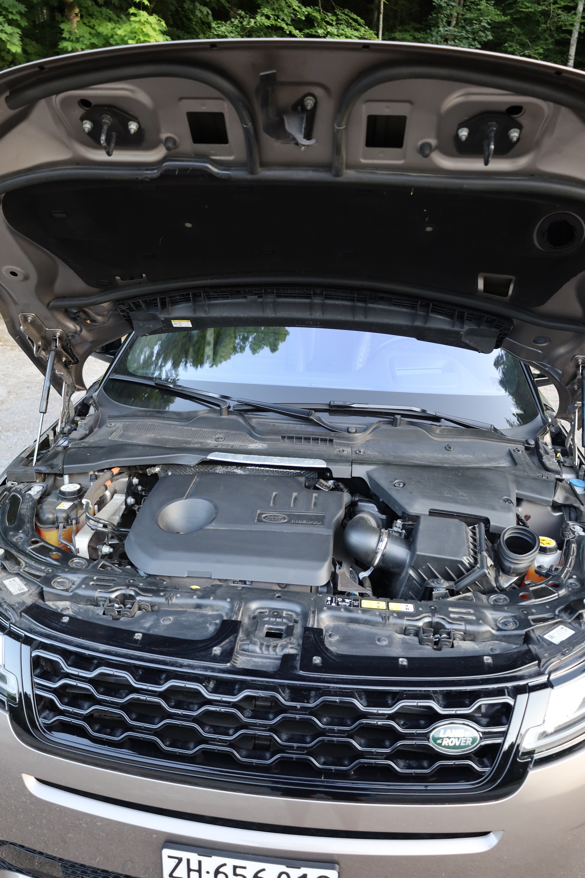 LAND ROVER 1.5 T 300e R-Dynamic Autobiography-image-14