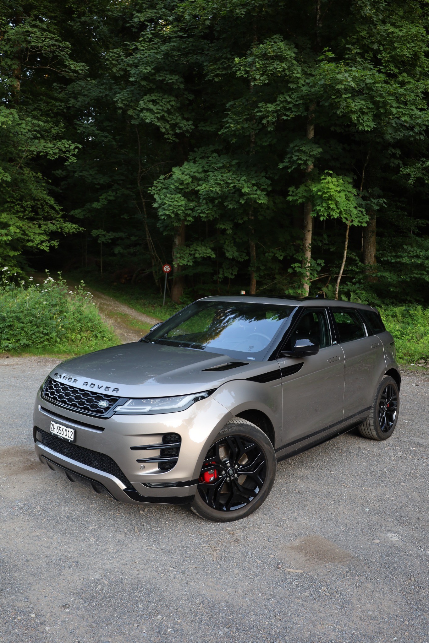LAND ROVER 1.5 T 300e R-Dynamic Autobiography