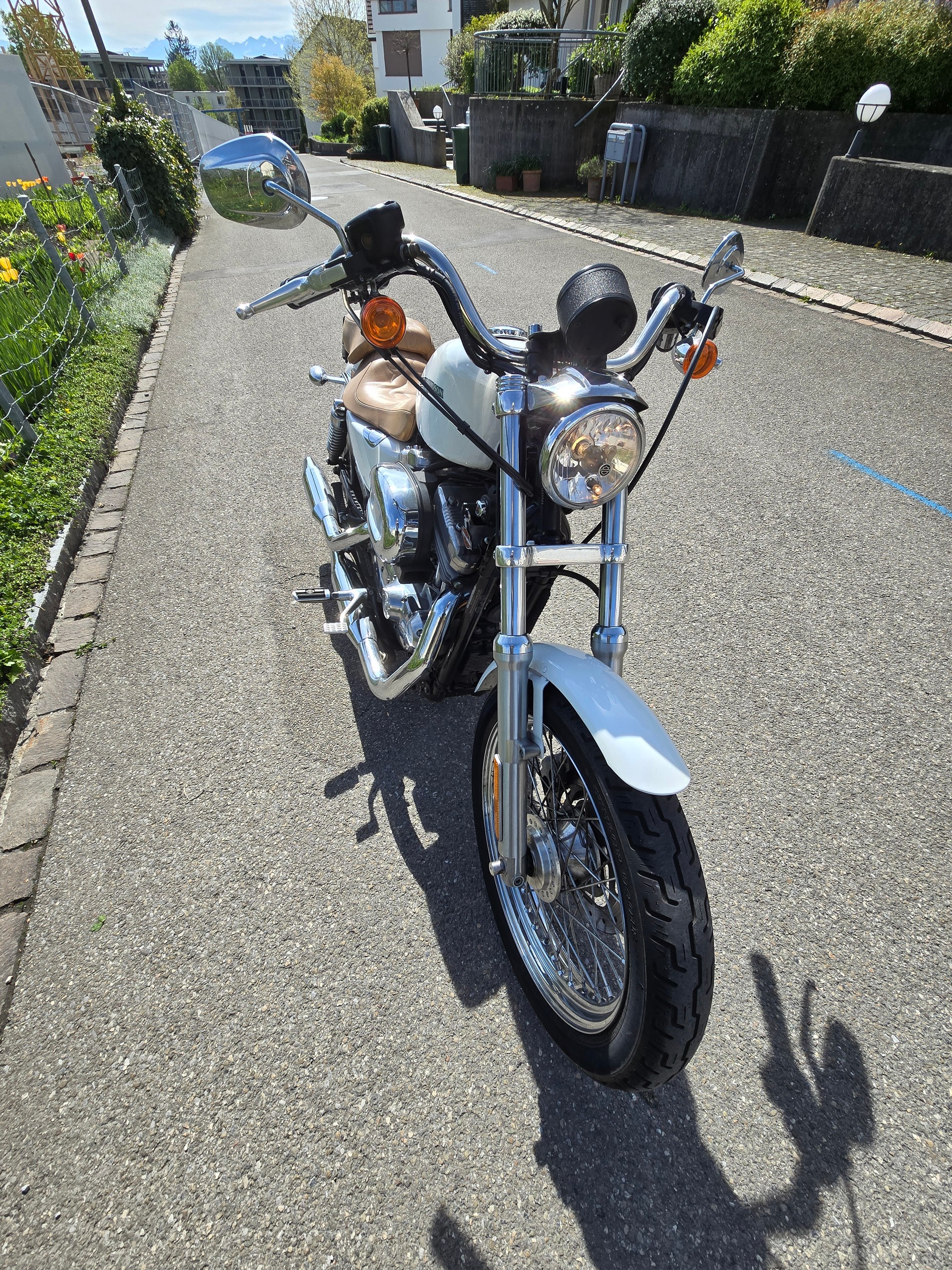 HARLEY-DAVIDSON XL883L-image-4