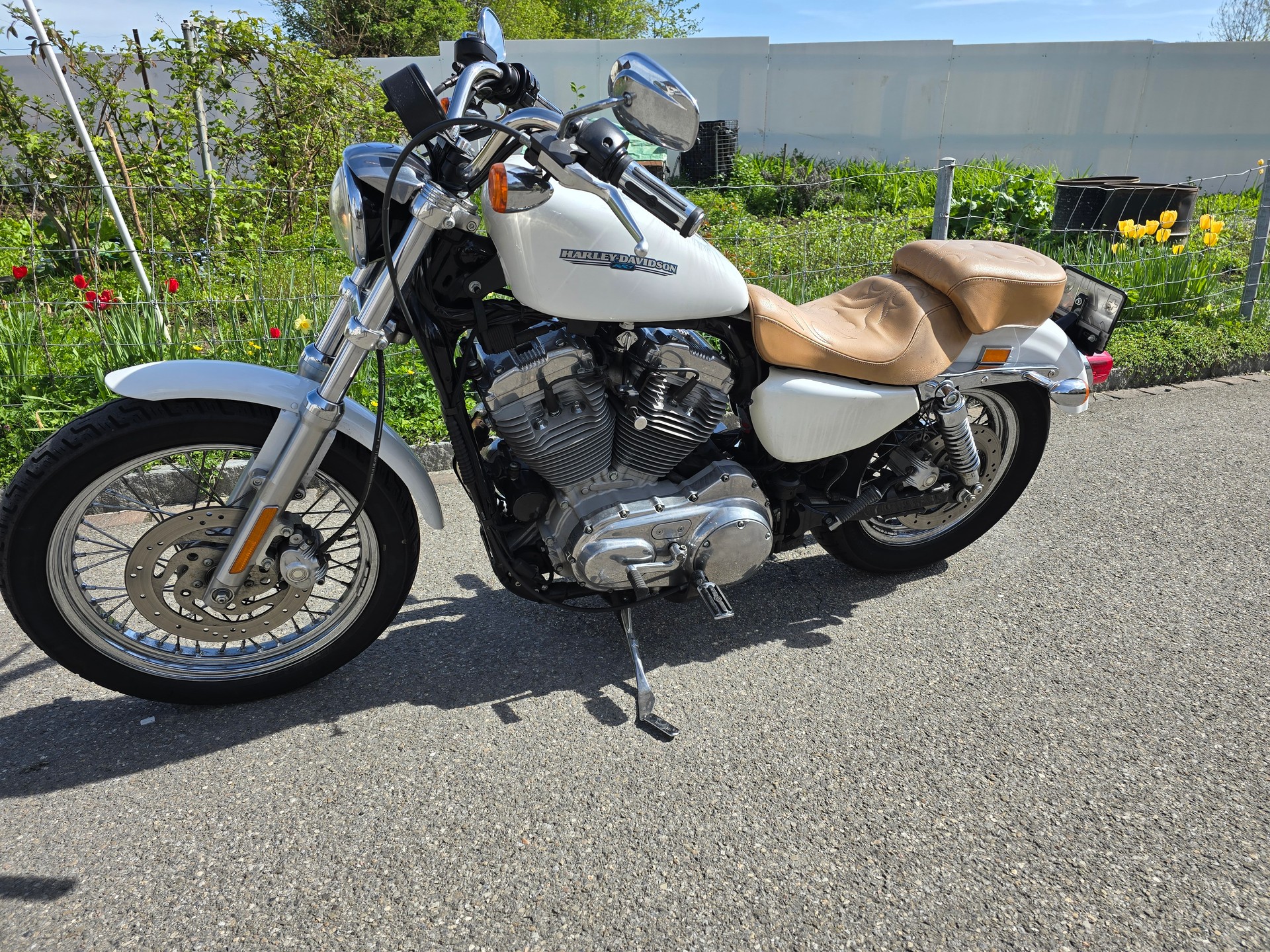HARLEY-DAVIDSON XL883L-image-5