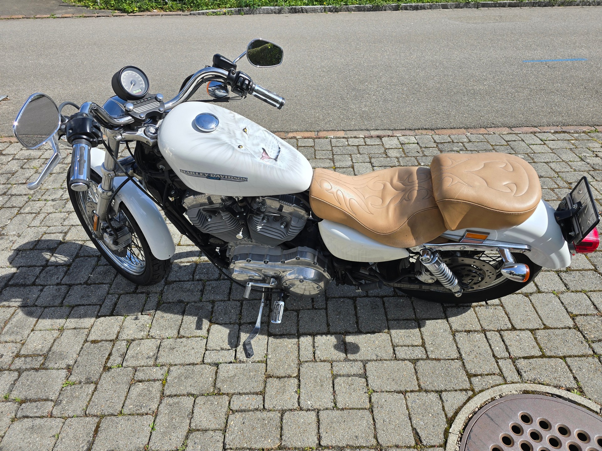 HARLEY-DAVIDSON XL883L-image-10