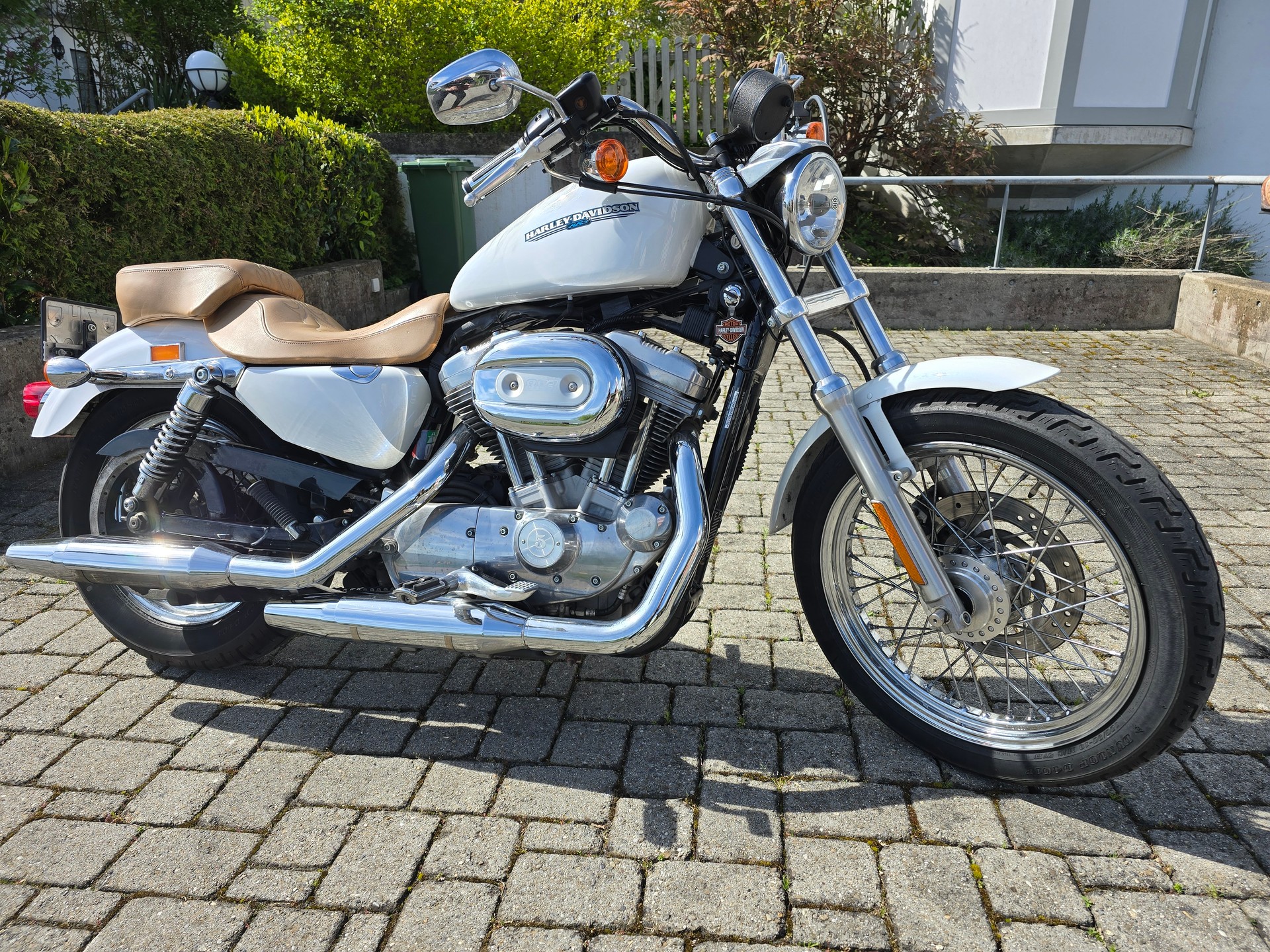 HARLEY-DAVIDSON XL883L-image-6