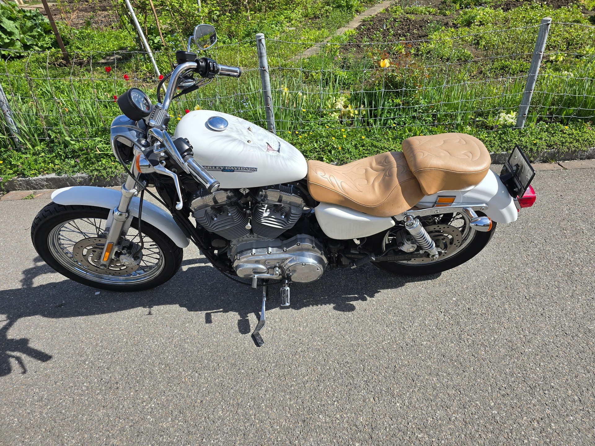 HARLEY-DAVIDSON XL883L-image-0