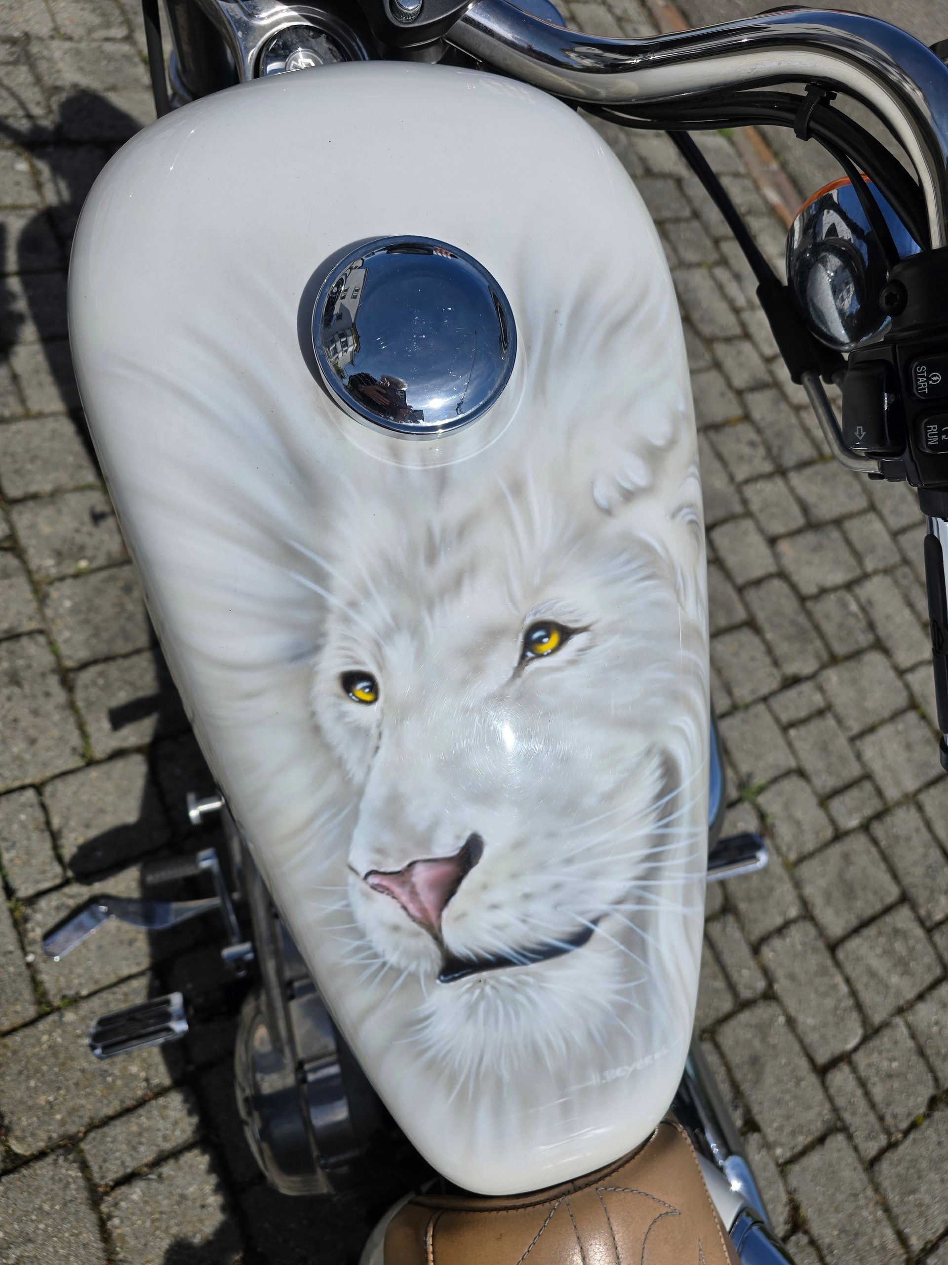 HARLEY-DAVIDSON XL883L-image-7