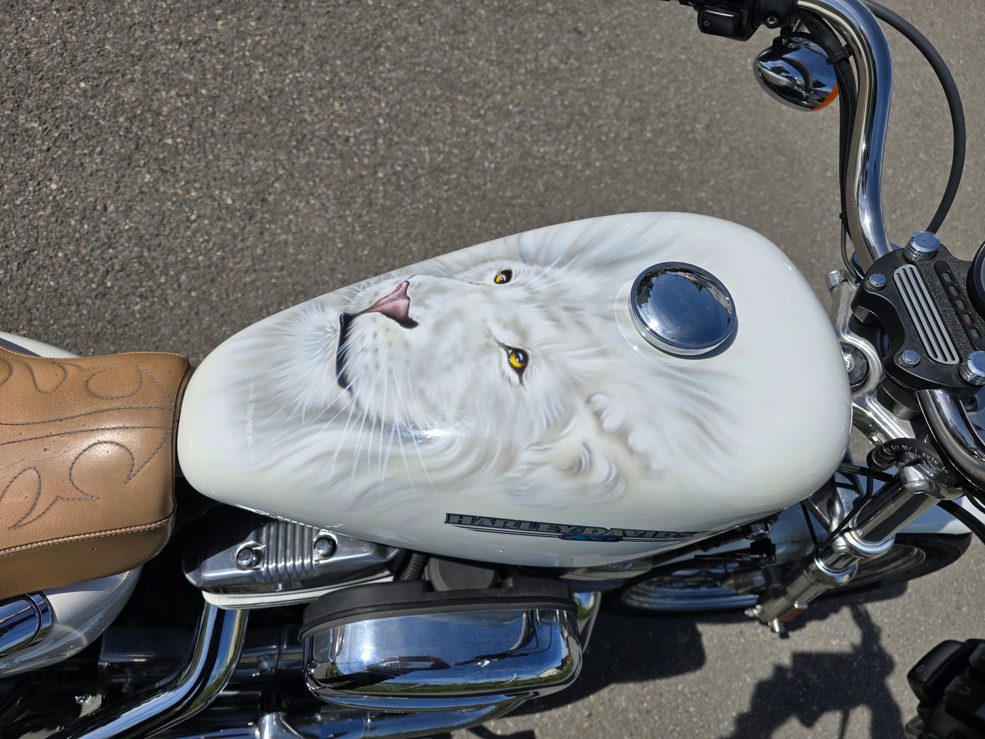 HARLEY-DAVIDSON XL883L-image-1