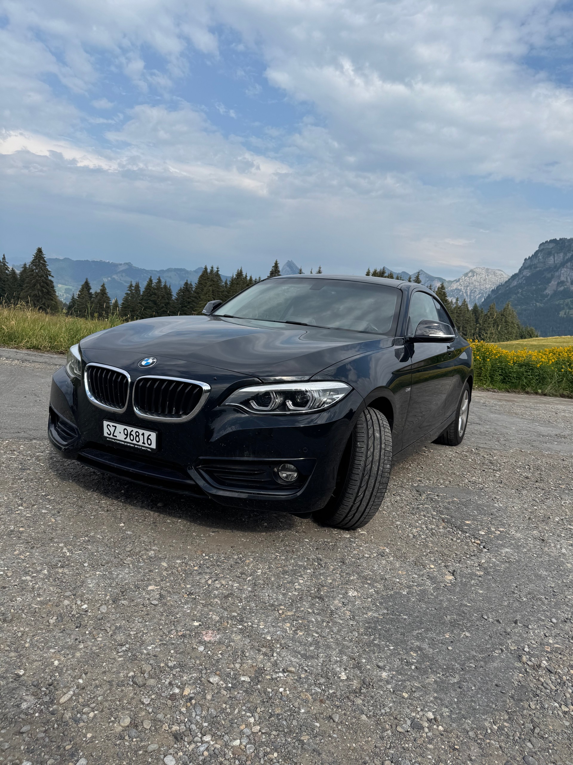 BMW 220d xDrive SPORT-LINE GARANTIE-image-4