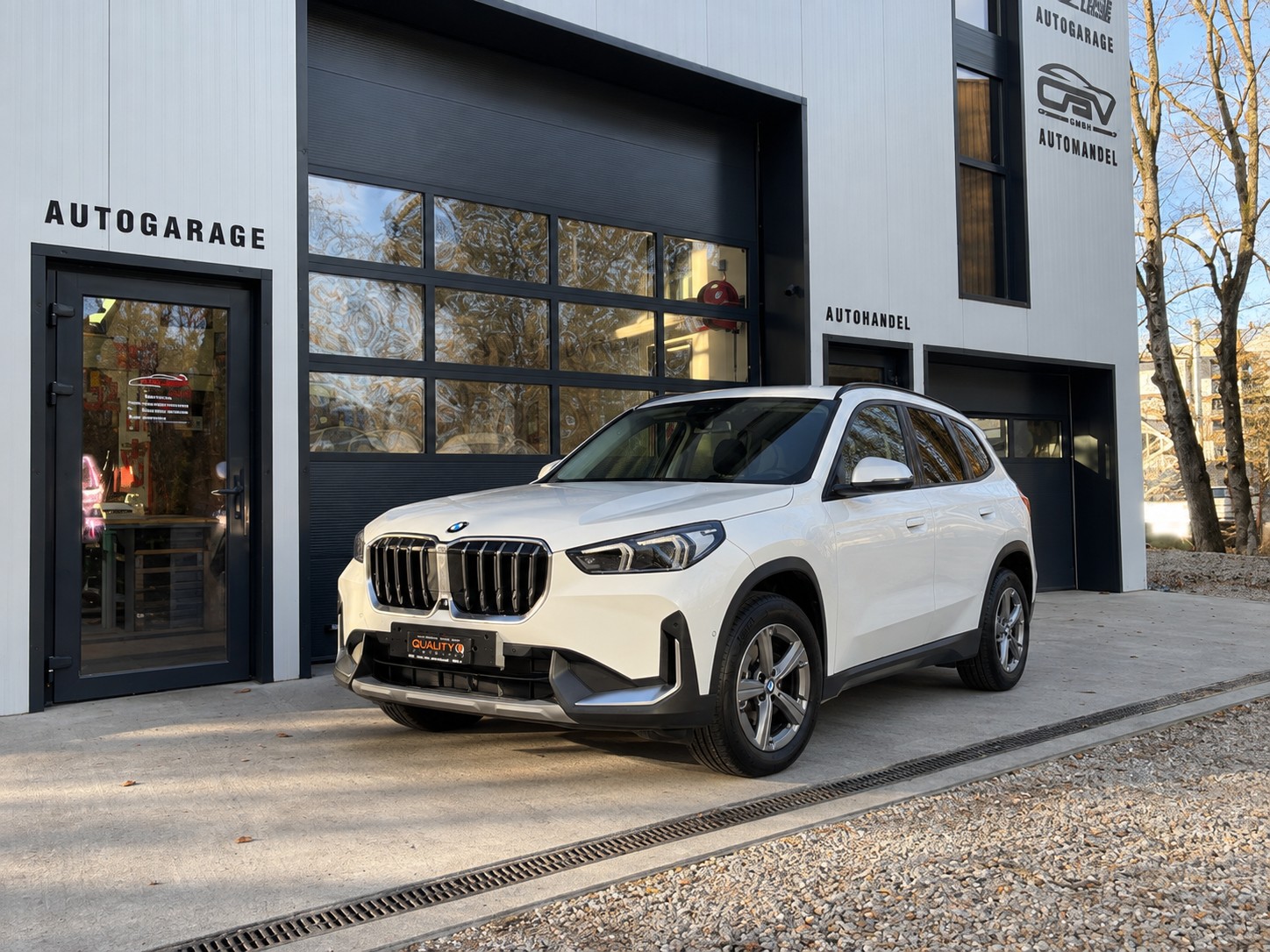 BMW X1 xDrive 20d 48V xLine
