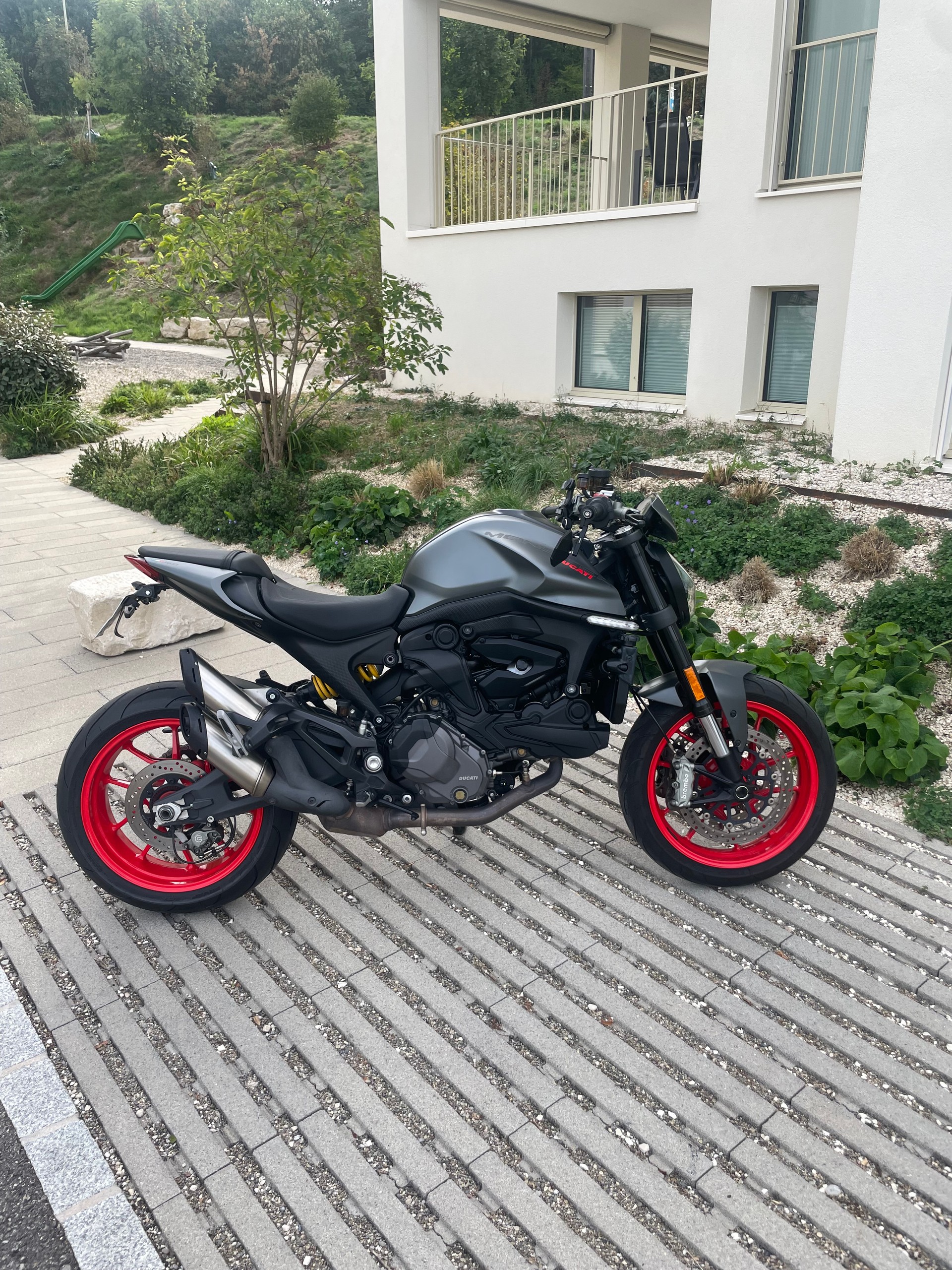 DUCATI Monster + 937 (25KW)-image-0