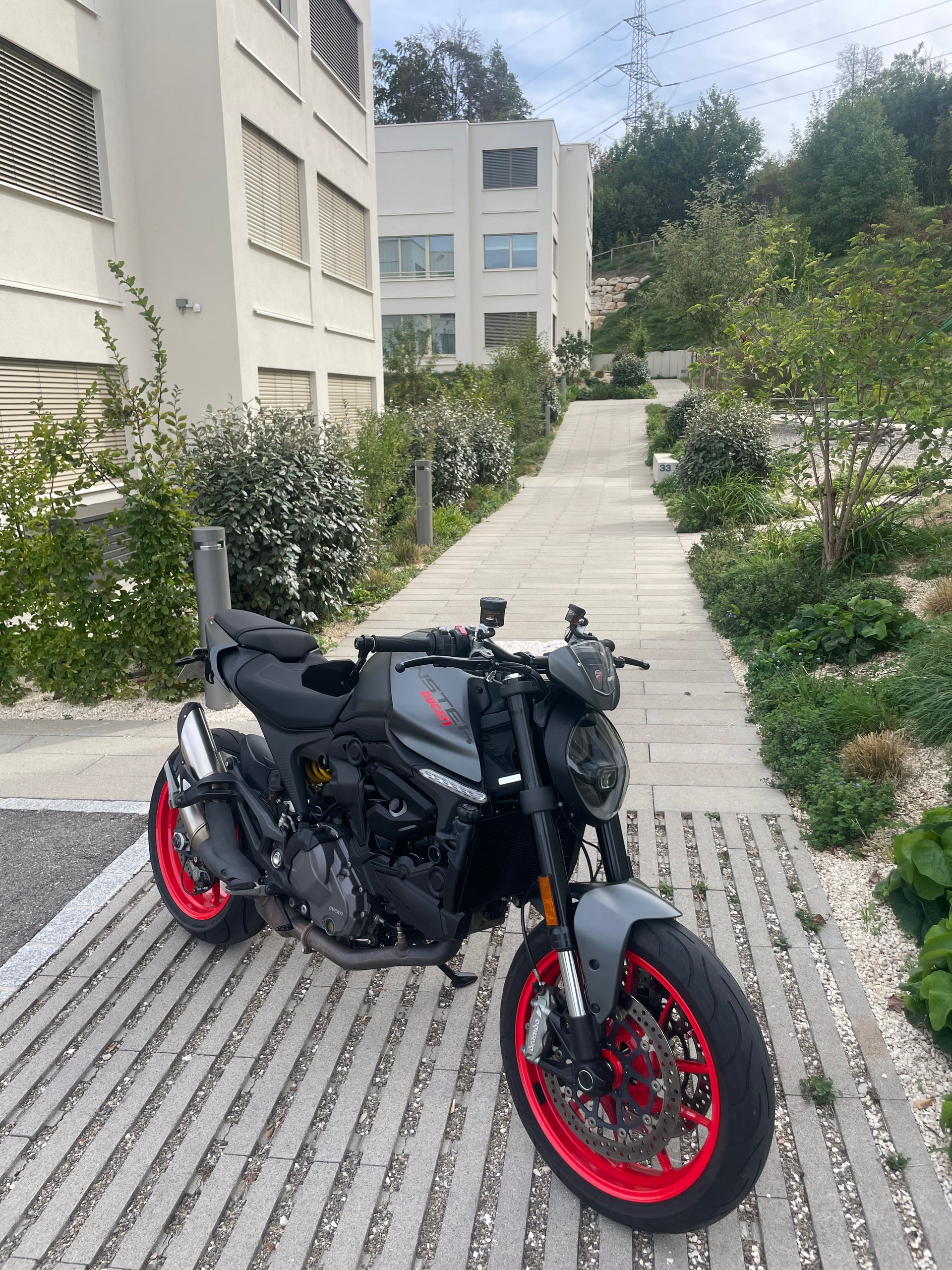 DUCATI Monster + 937 (25KW)-image-1